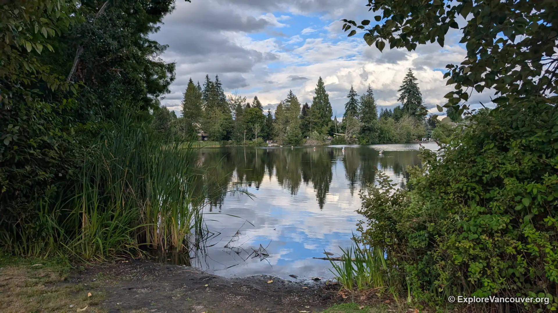 Como Lake Park Coquitlam BC pictured from the lakeside walking path