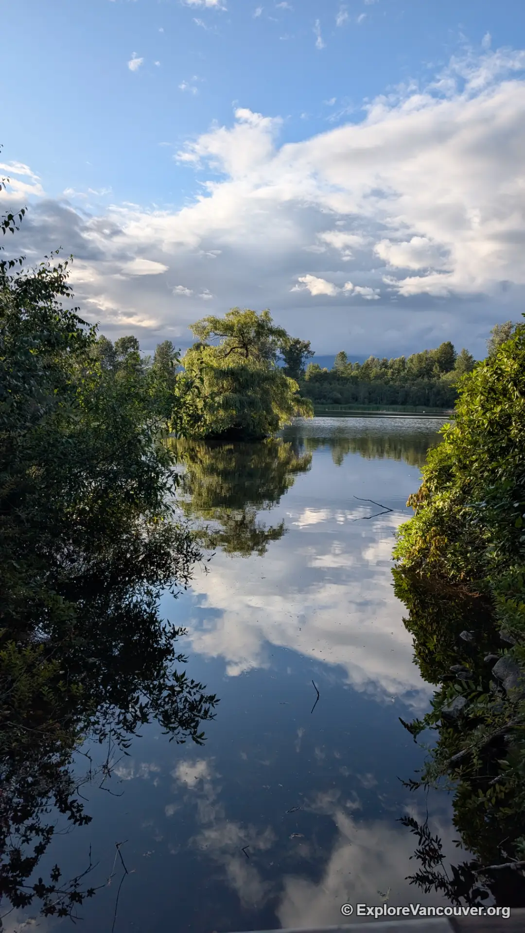 Vertical view of Como Lake Park Coquitlam showing the lakeside walking trail