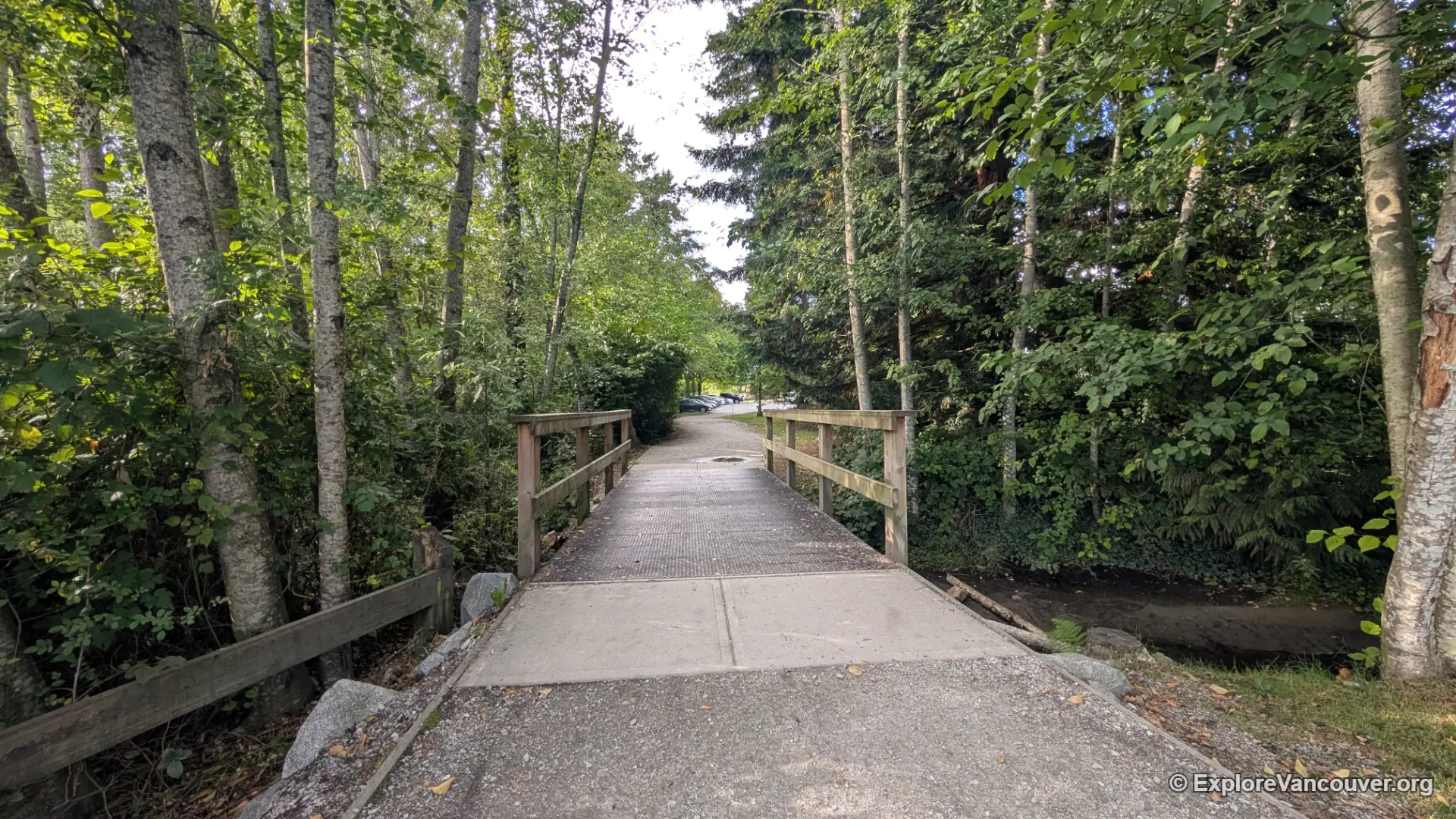 Tree-lined section of the Como Lake lakeside loop trail in Coquitlam