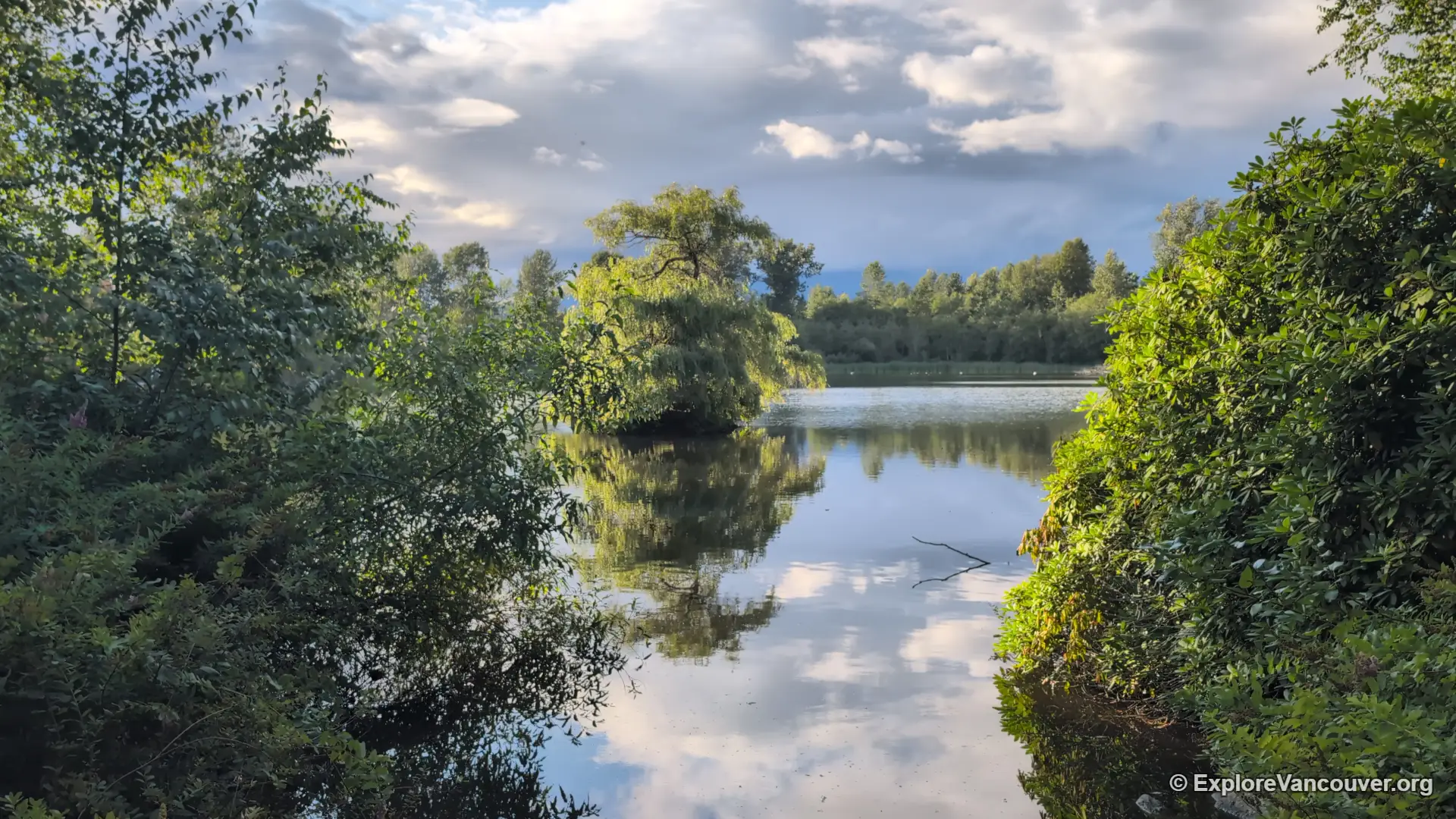 Como Lake in Coquitlam BC with calm water surrounded by trees on a clear day