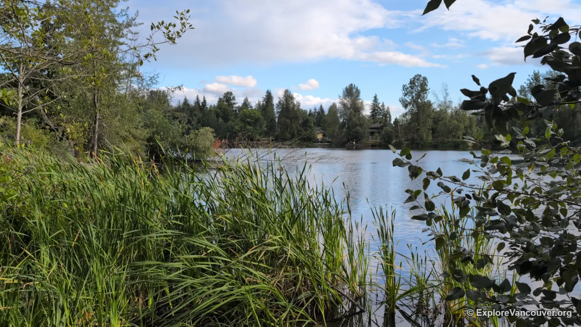 Shoreline view of Como Lake Coquitlam with benches along the trail