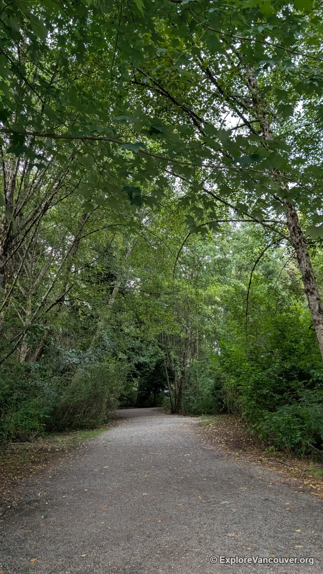 Wide gravel walking trail circling Como Lake in Coquitlam British Columbia