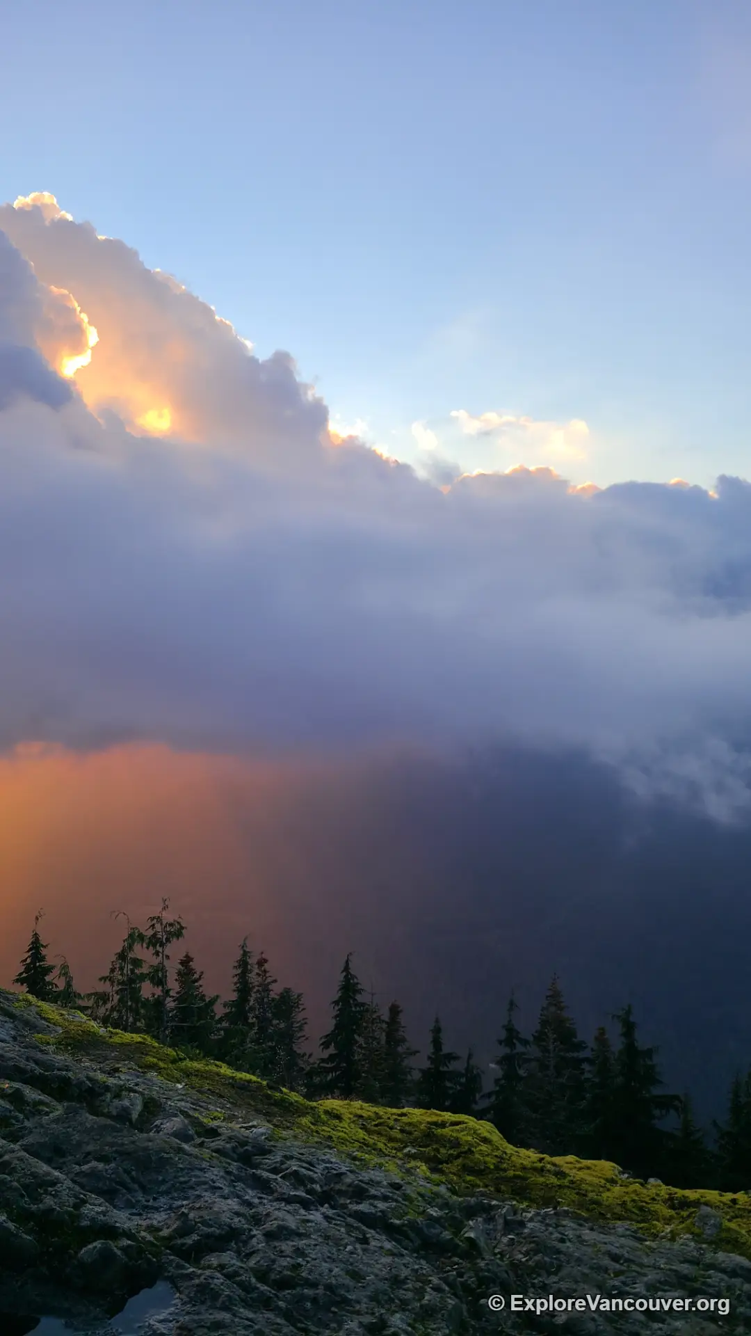 View from the summit of Dog Mountain over Metro Vancouver in fall