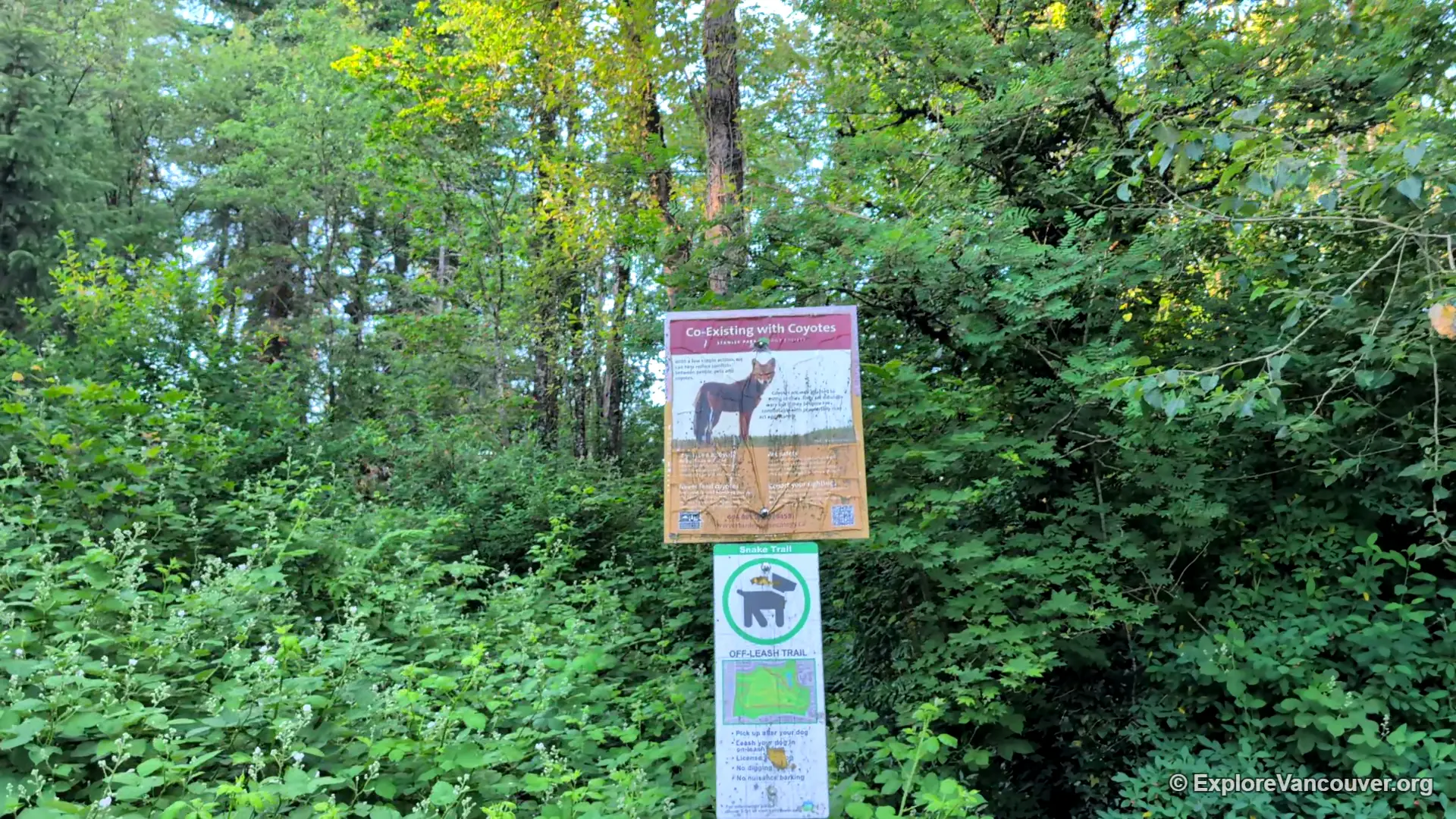 Coyote awareness sign posted along a trail in Everett Crowley Park