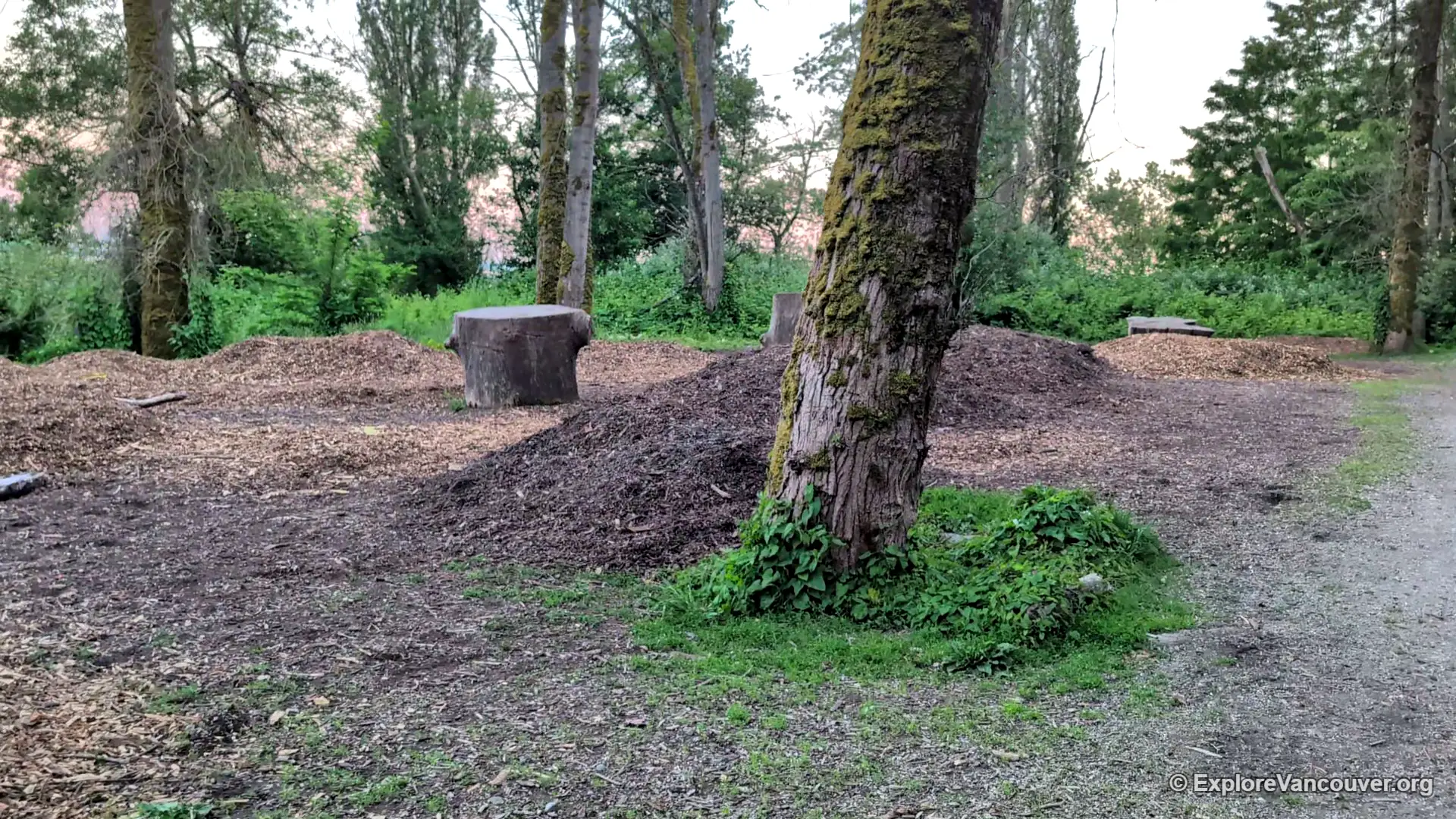 Site of the former Kerr Road landfill within Everett Crowley Park