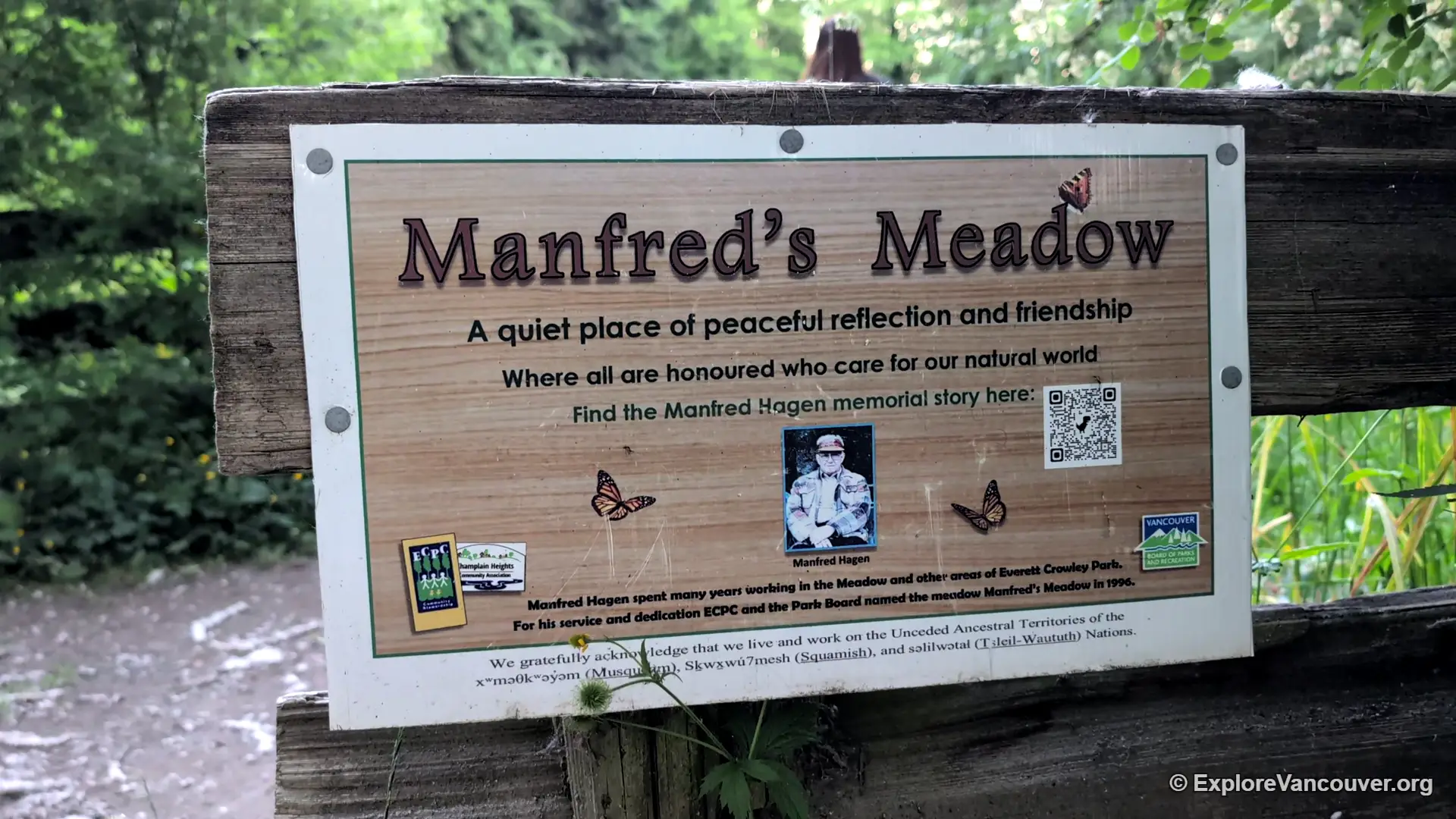 Interpretive display board at Manfred's Meadow
