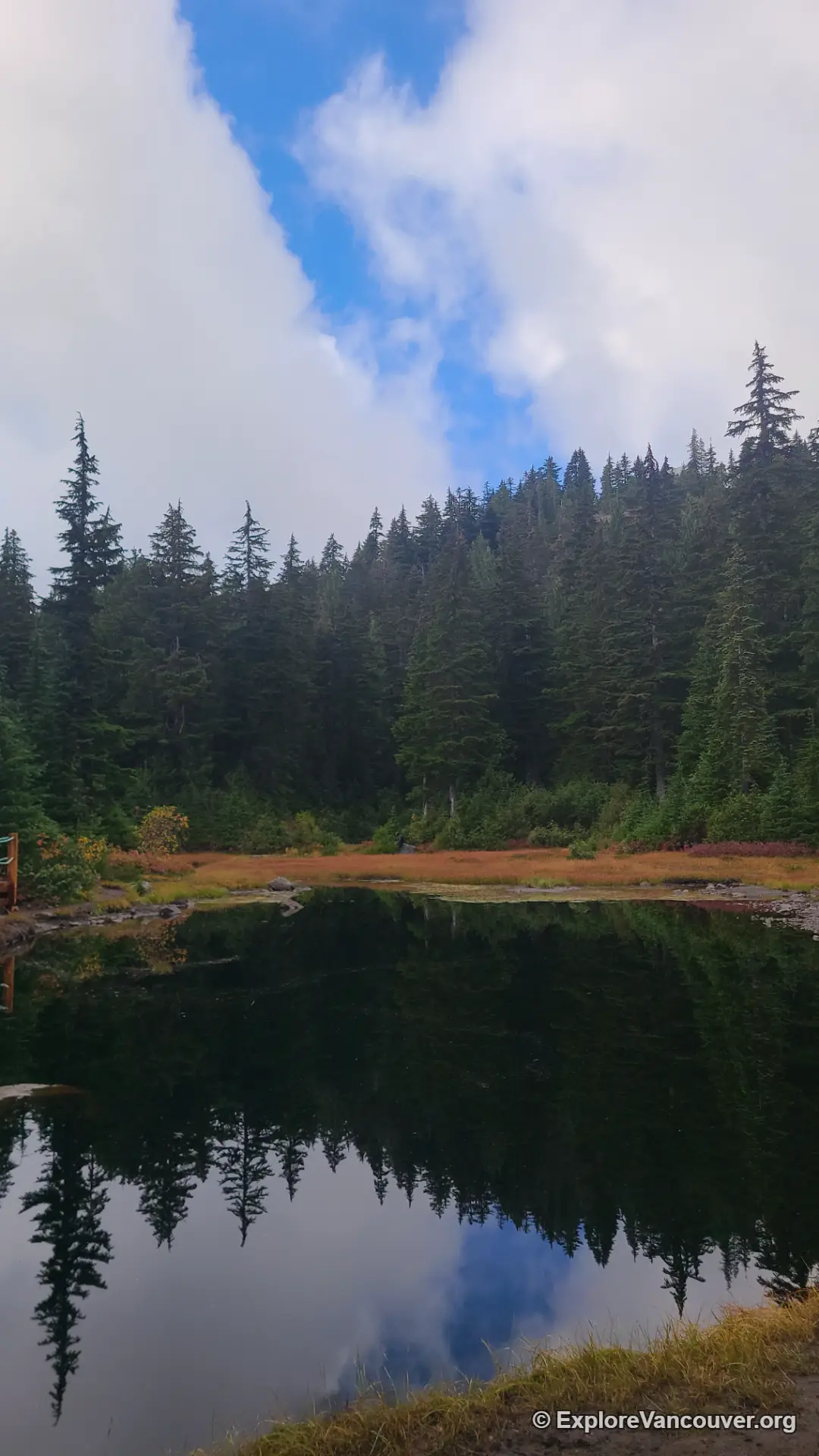Vertical view of First Lake along the Dog Mountain trail