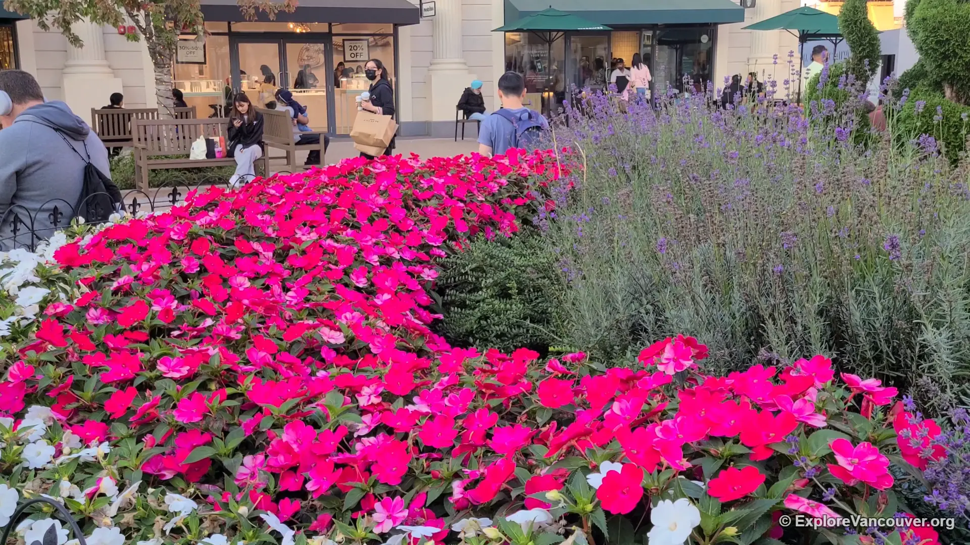 Flower planters along a piazza at McArthurGlen Designer Outlet