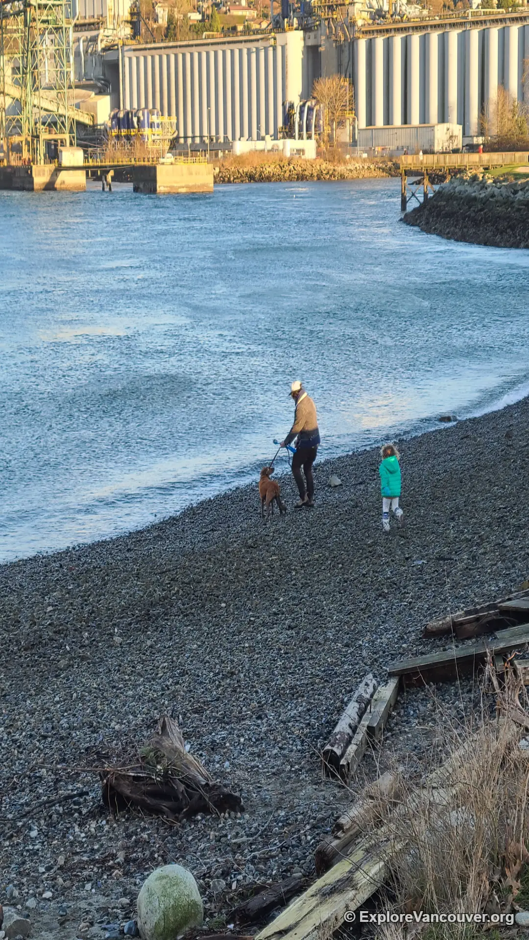 Vertical photo of the beach area at New Brighton Park