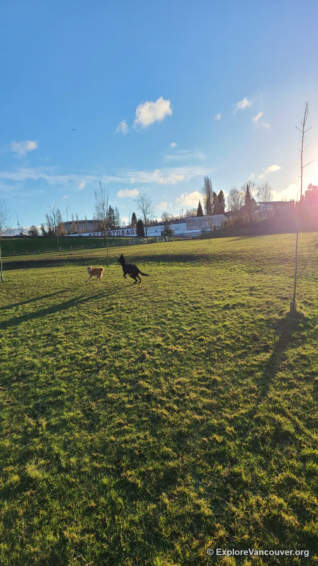 Fenced off-leash dog park area at New Brighton Park