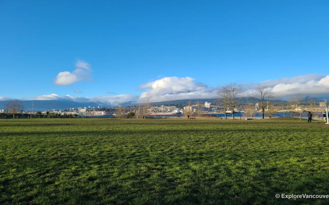 Best Dog Parks in Vancouver