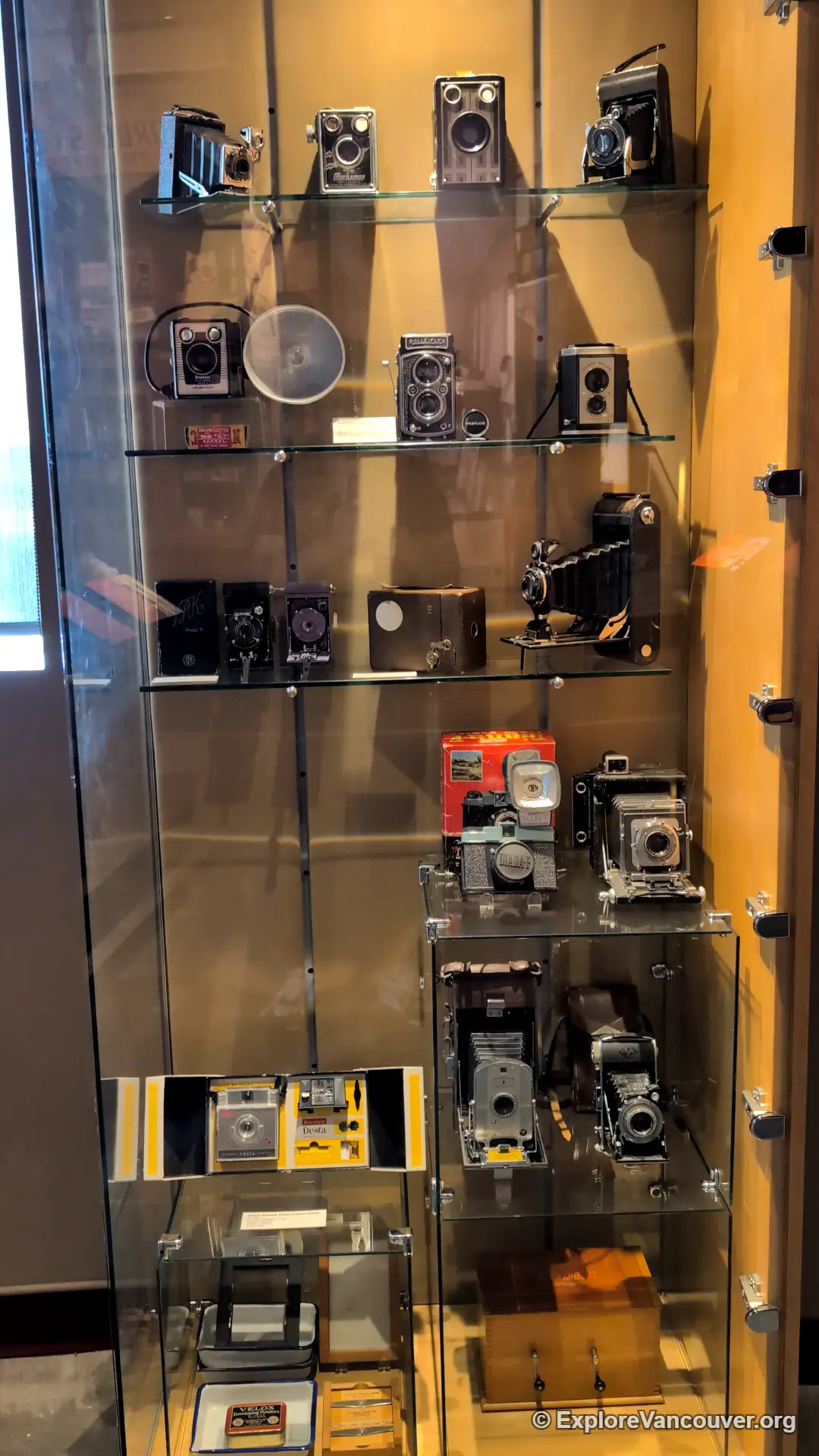 Vintage camera collection on display at the Museum of Surrey