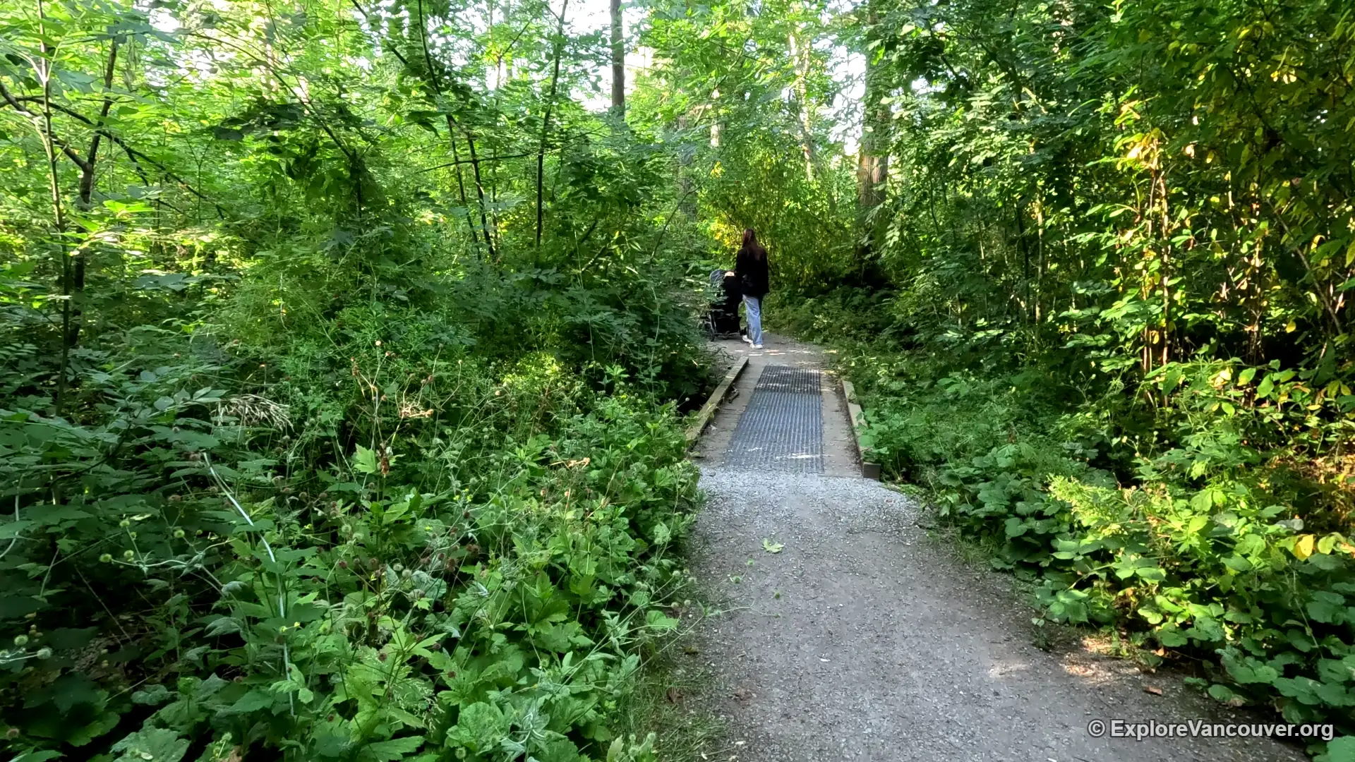 Walking trail through Redwood Park, Surrey