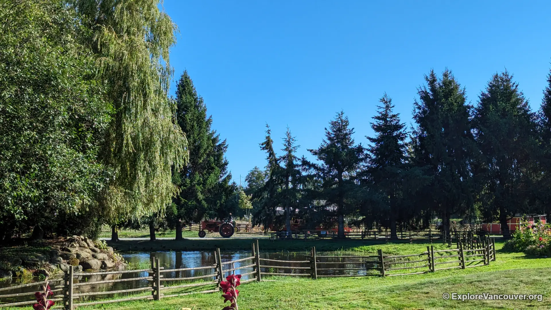 Pond area at the Richmond Sunflower Festival grounds