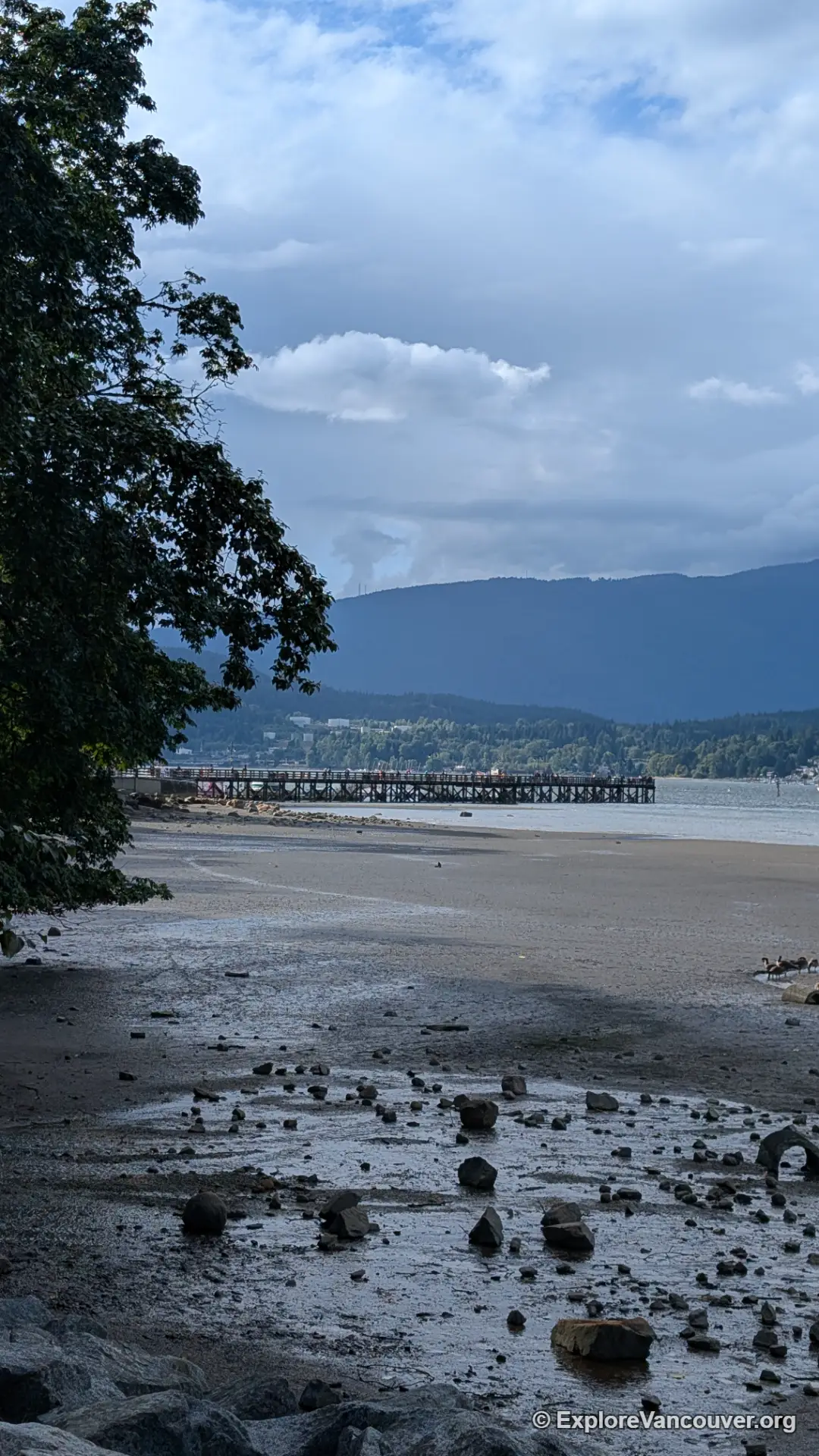 Rocky Point Park pier viewed from a distance