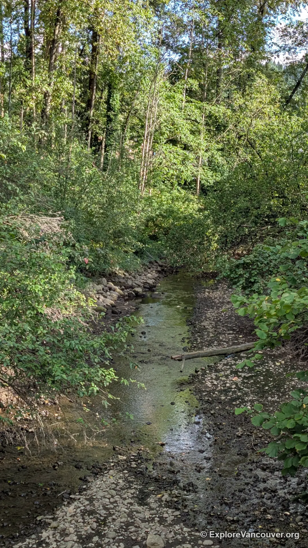 Shoreline Trail near Rocky Point Park