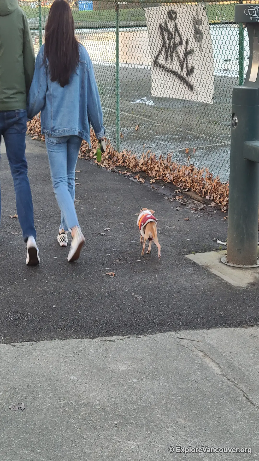 Person walking a dog along the trail at New Brighton Park