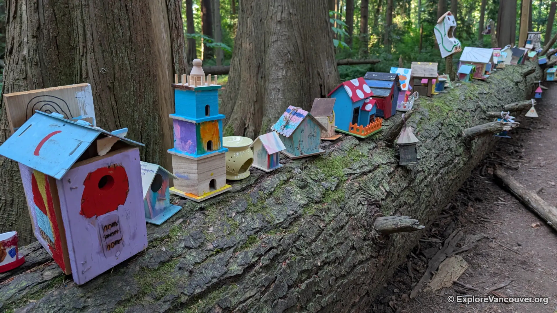 Fairy village at Redwood Park Surrey