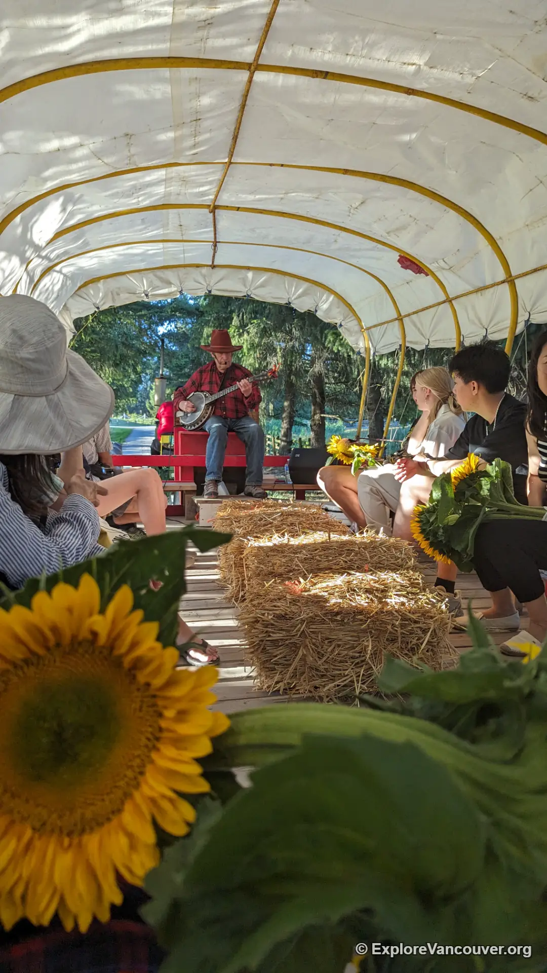 Open-air wagon used for farm rides at the sunflower festival