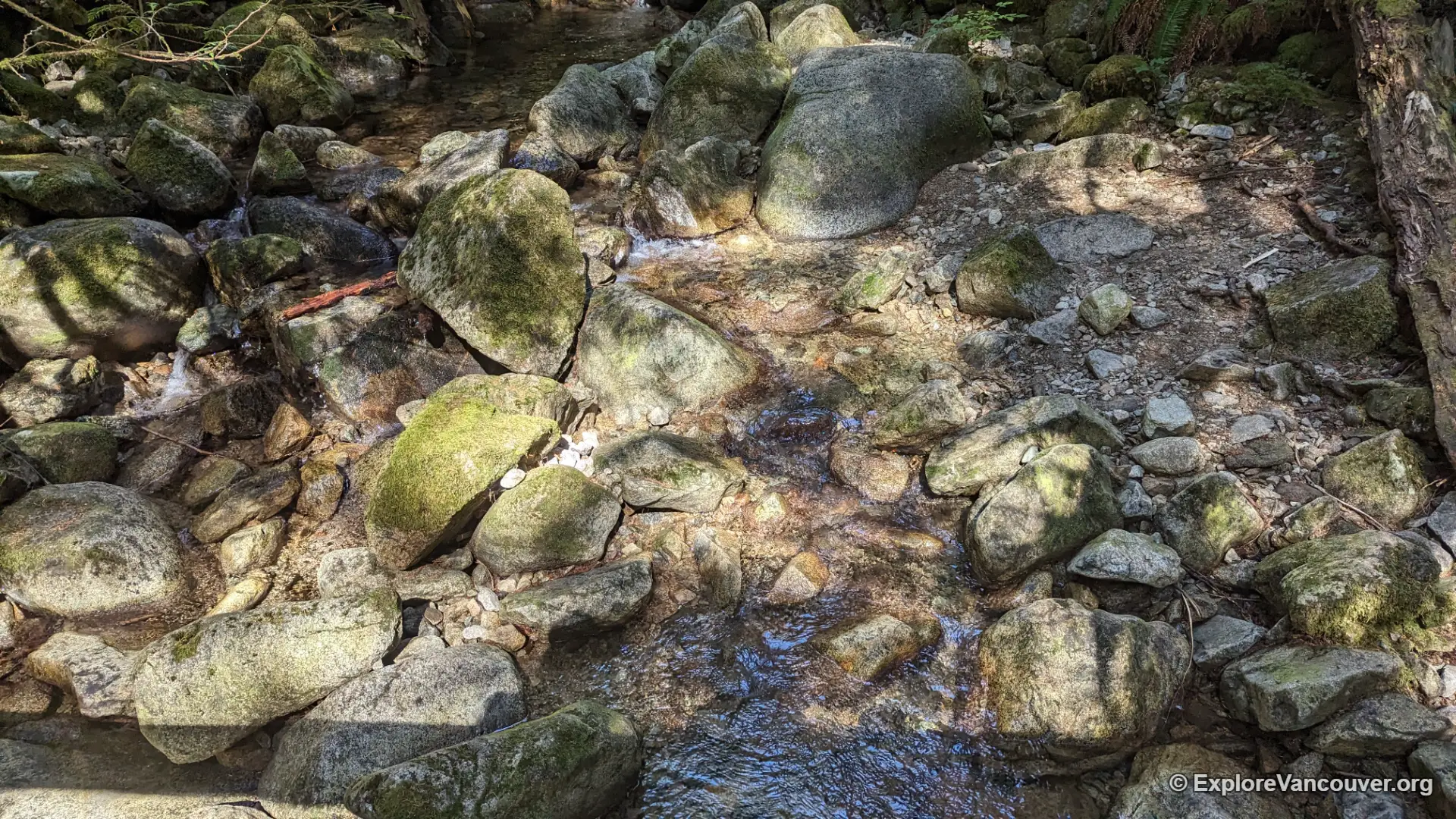 Rocky trail surface near Whyte Lake