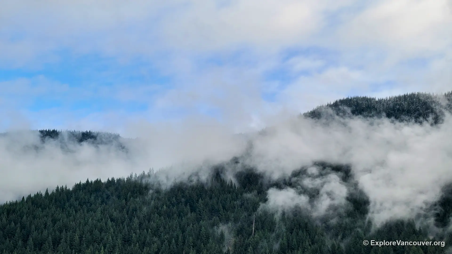 View of the Coast Mountains from the shoreline of Alouette Lake