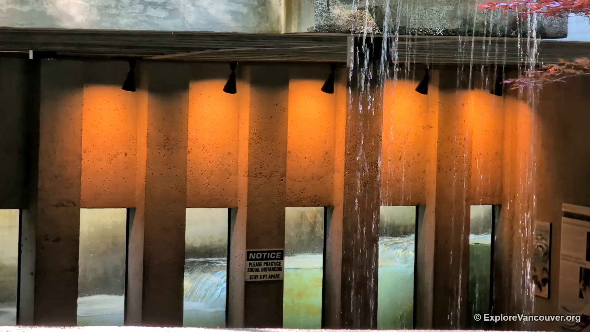 Indoor fish ladder viewing area at Capilano River Hatchery