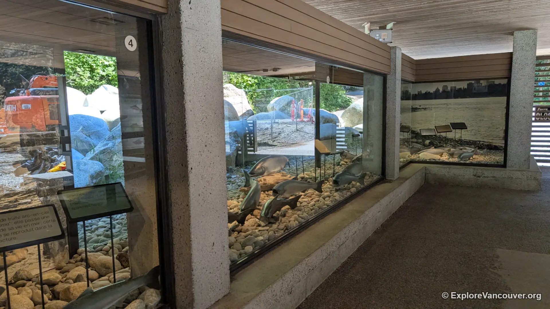 Interpretive display about salmon at the hatchery