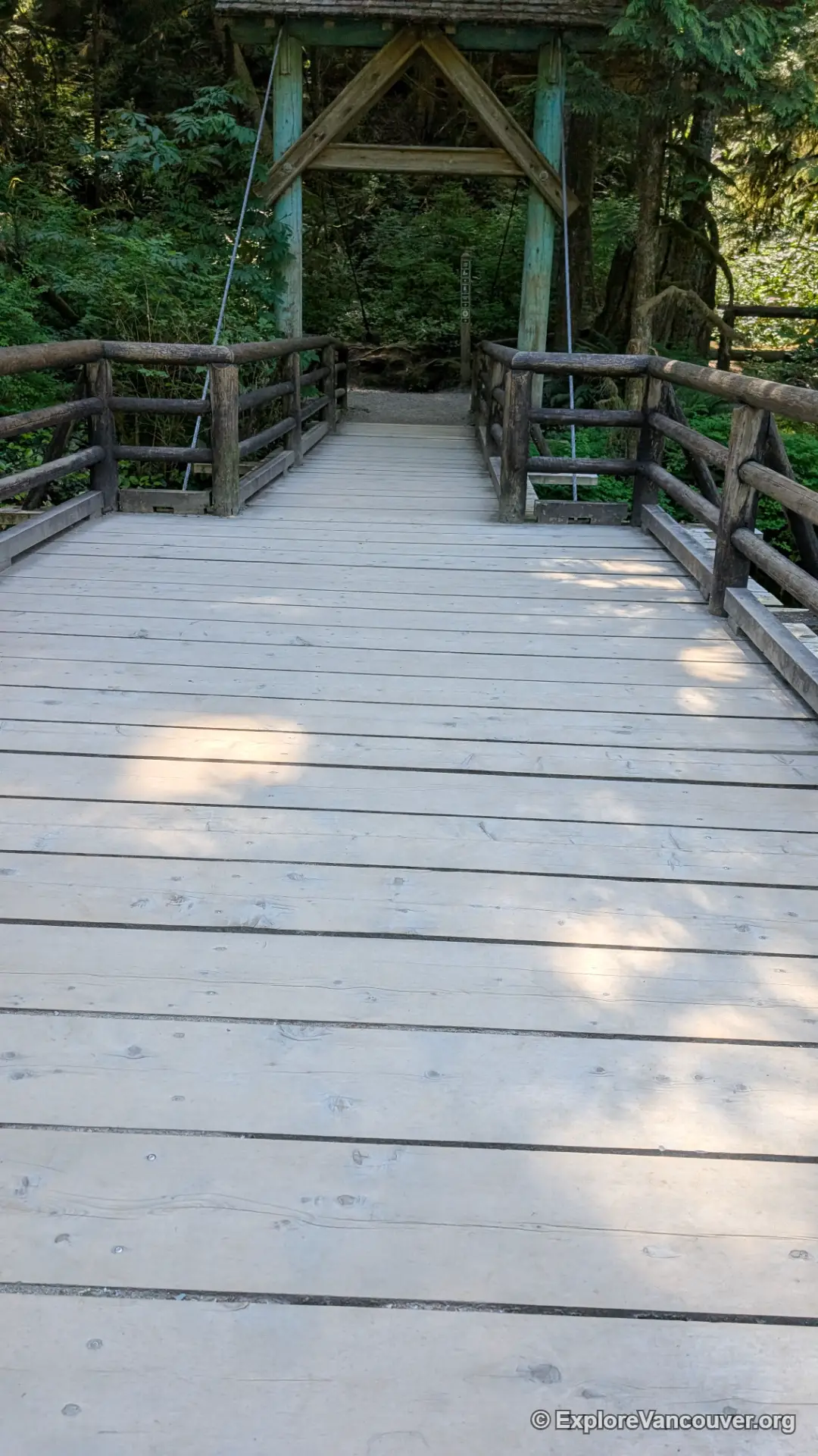 Bridge crossing the canyon at Capilano River Regional Park