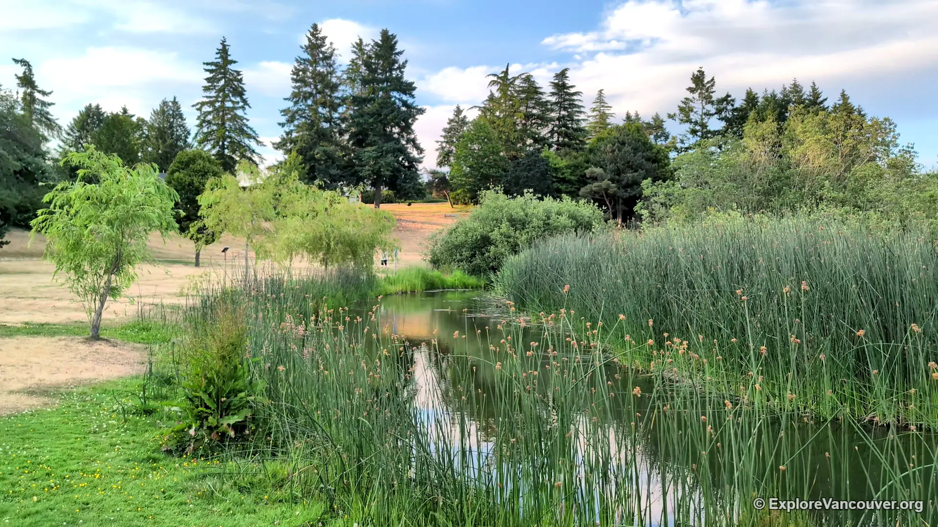 View of Diefenbaker Park grounds in Delta BC