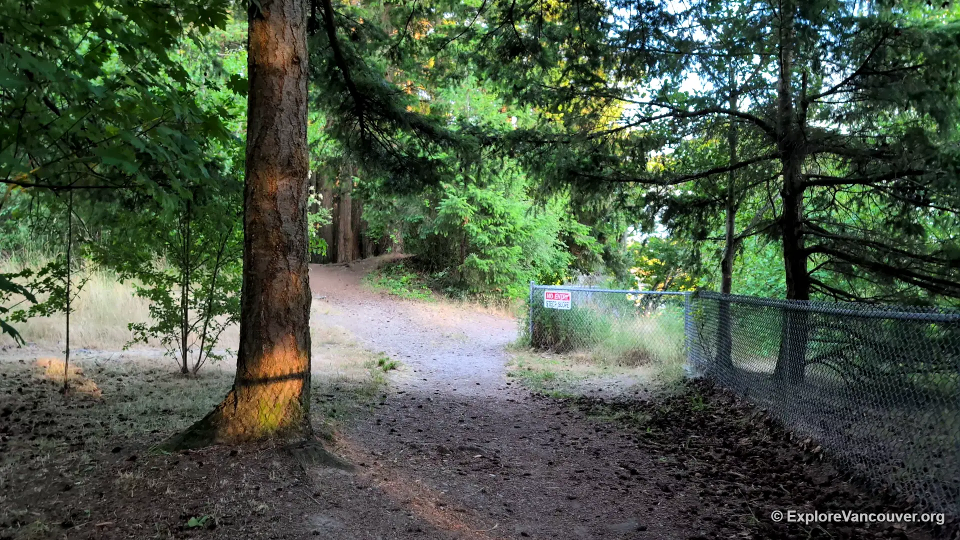 Walking trail through Diefenbaker Park