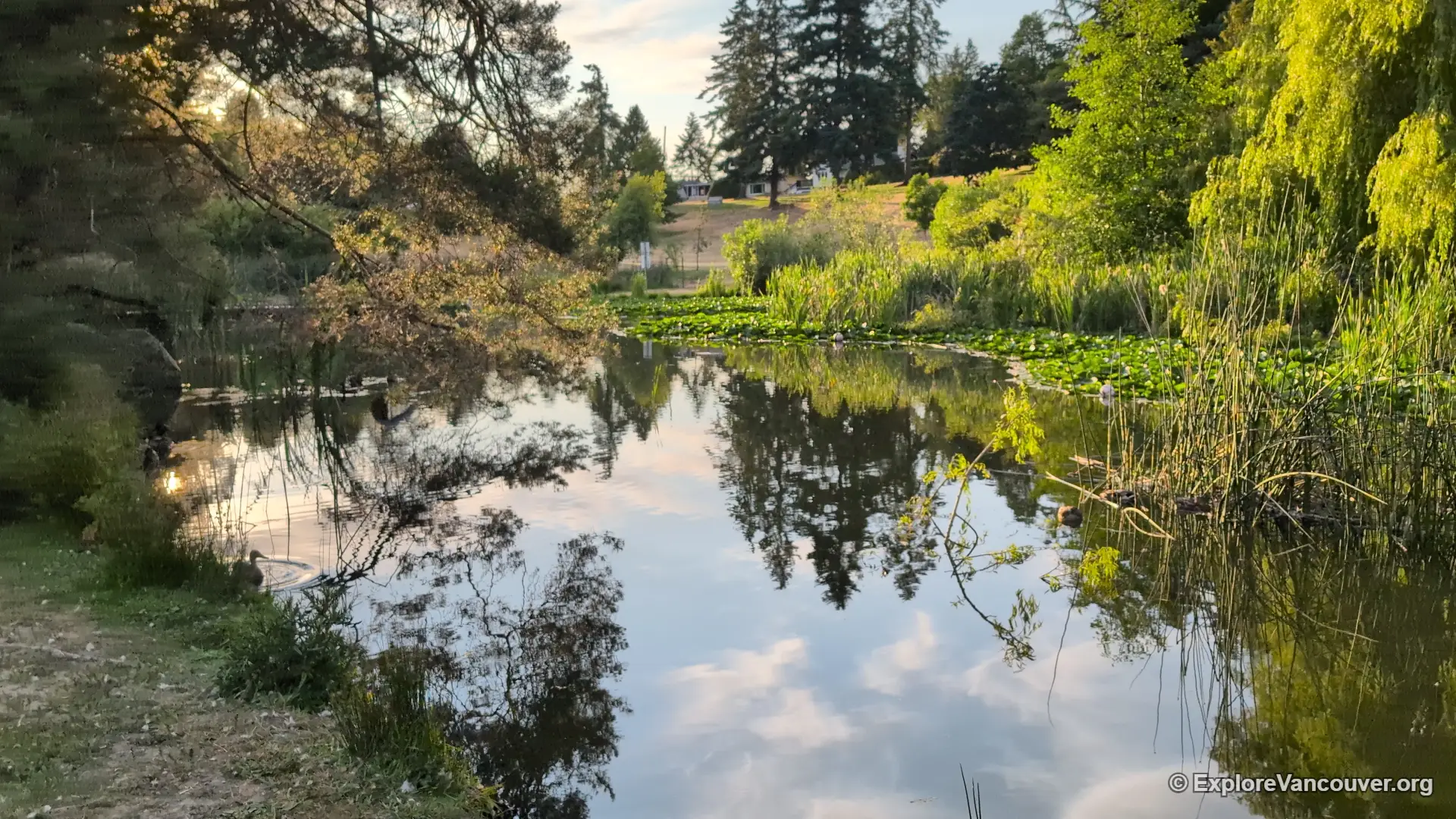 Pond with man-made waterfall at Diefenbaker Park