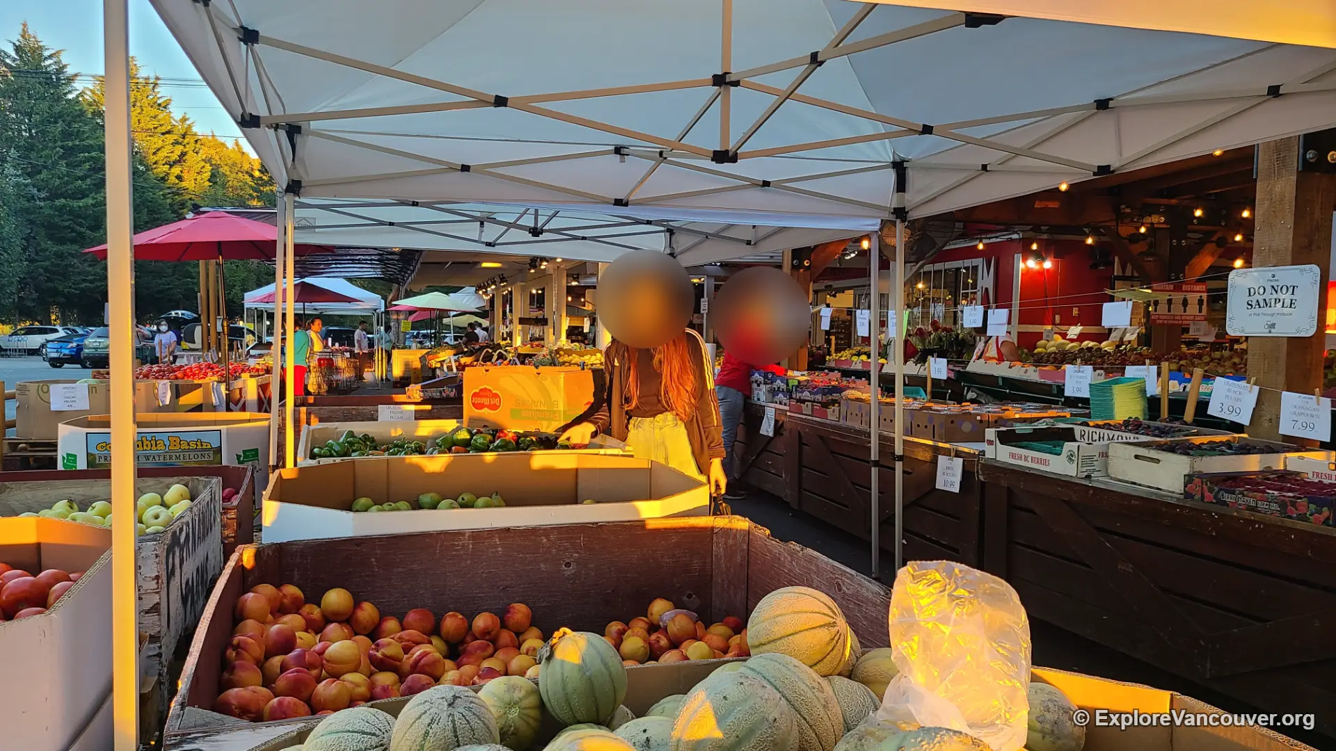 Food available at Richmond Country Farms