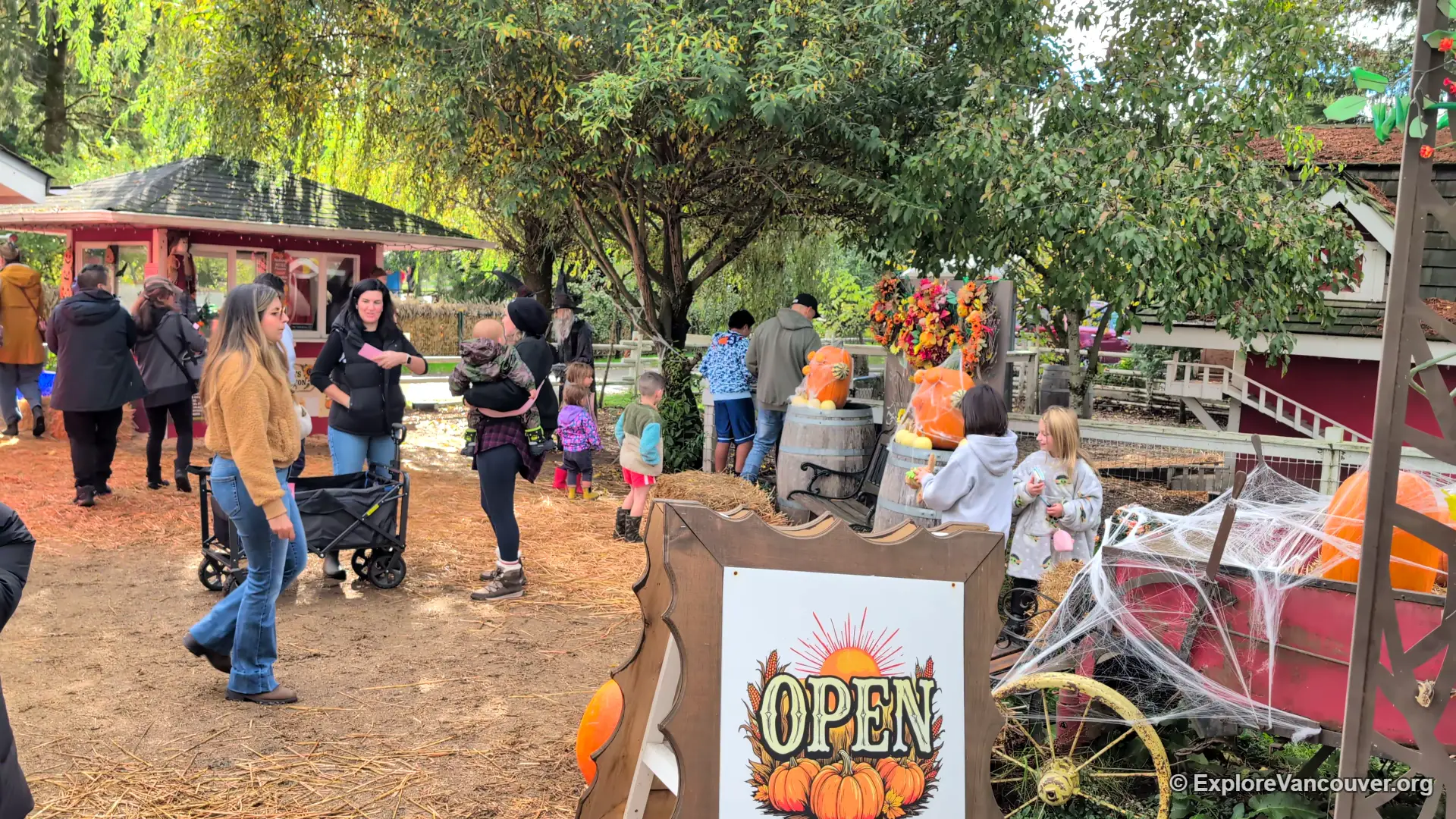 Corn maze and festival area at the Richmond Country Farms pumpkin patch