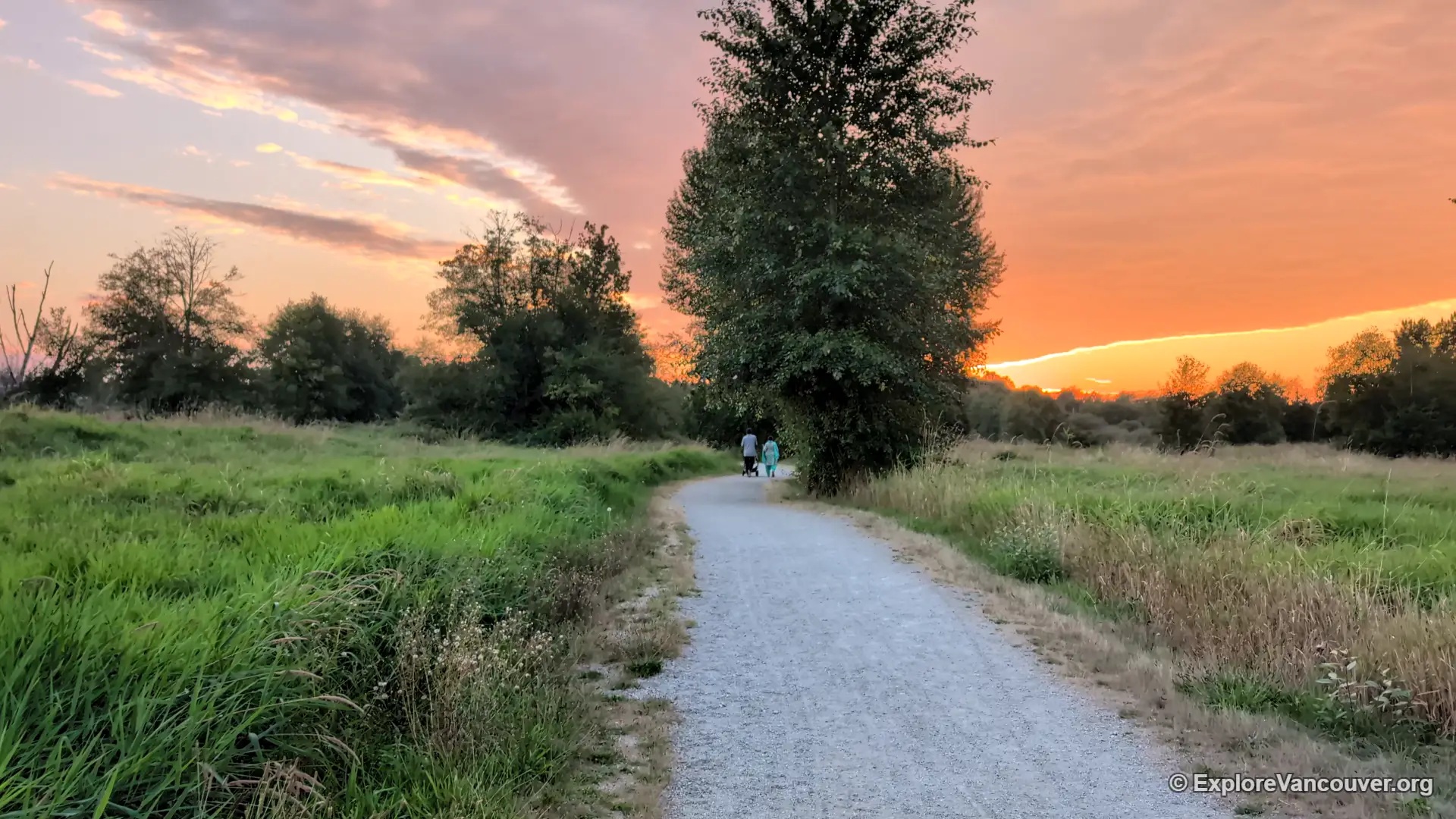 Trail at Surrey Lake Park