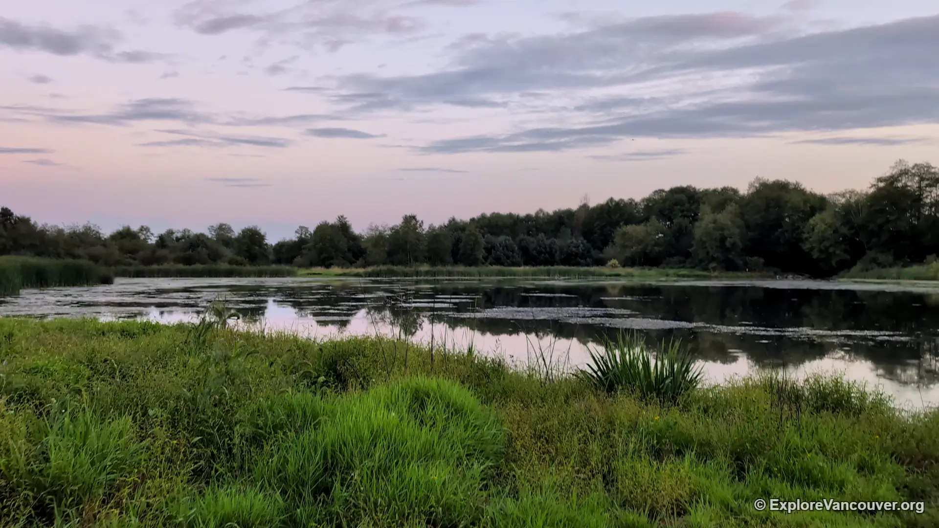Surrey Lake Park scenery