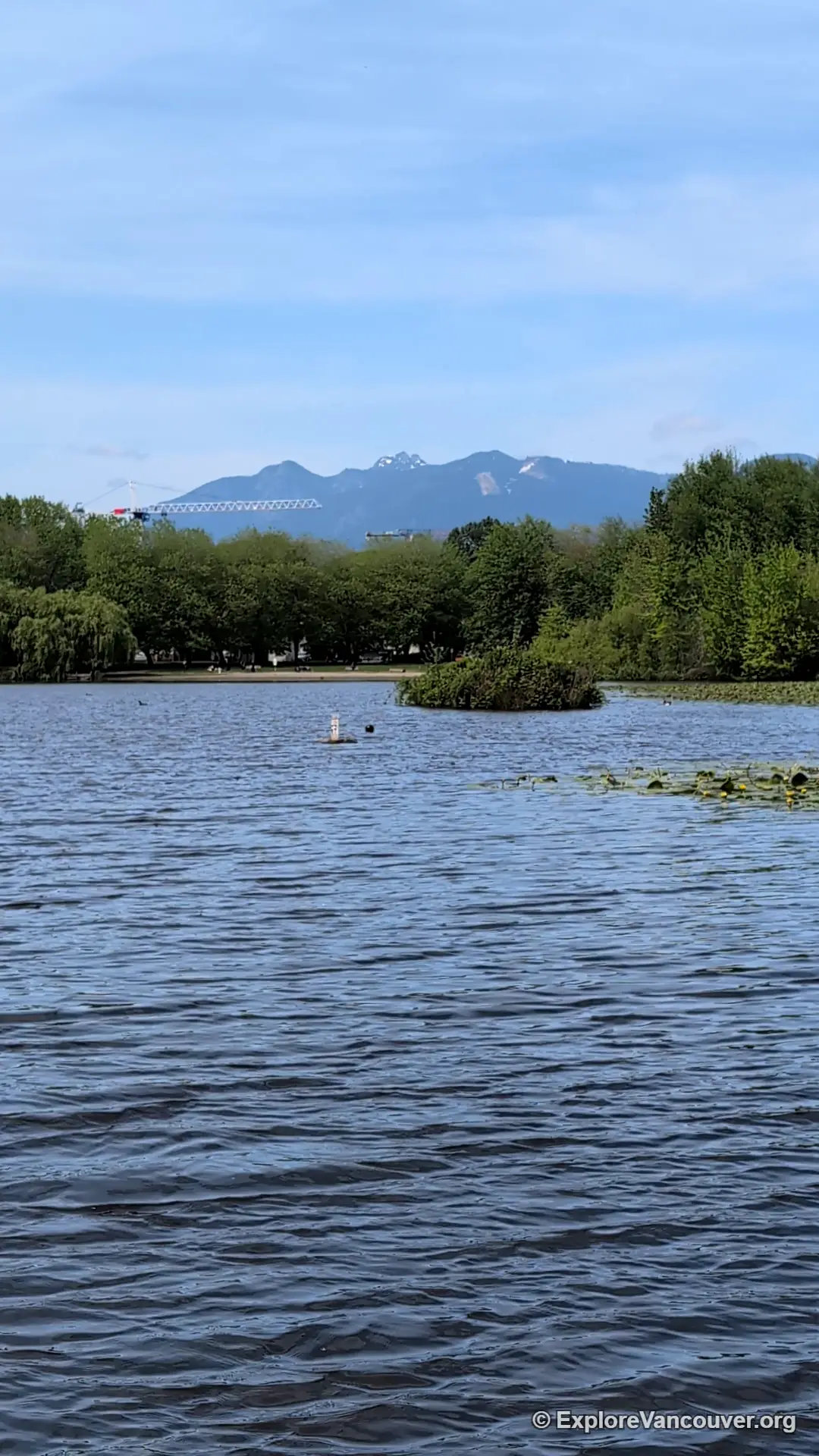 Vertical view of Trout Lake, Vancouver, BC