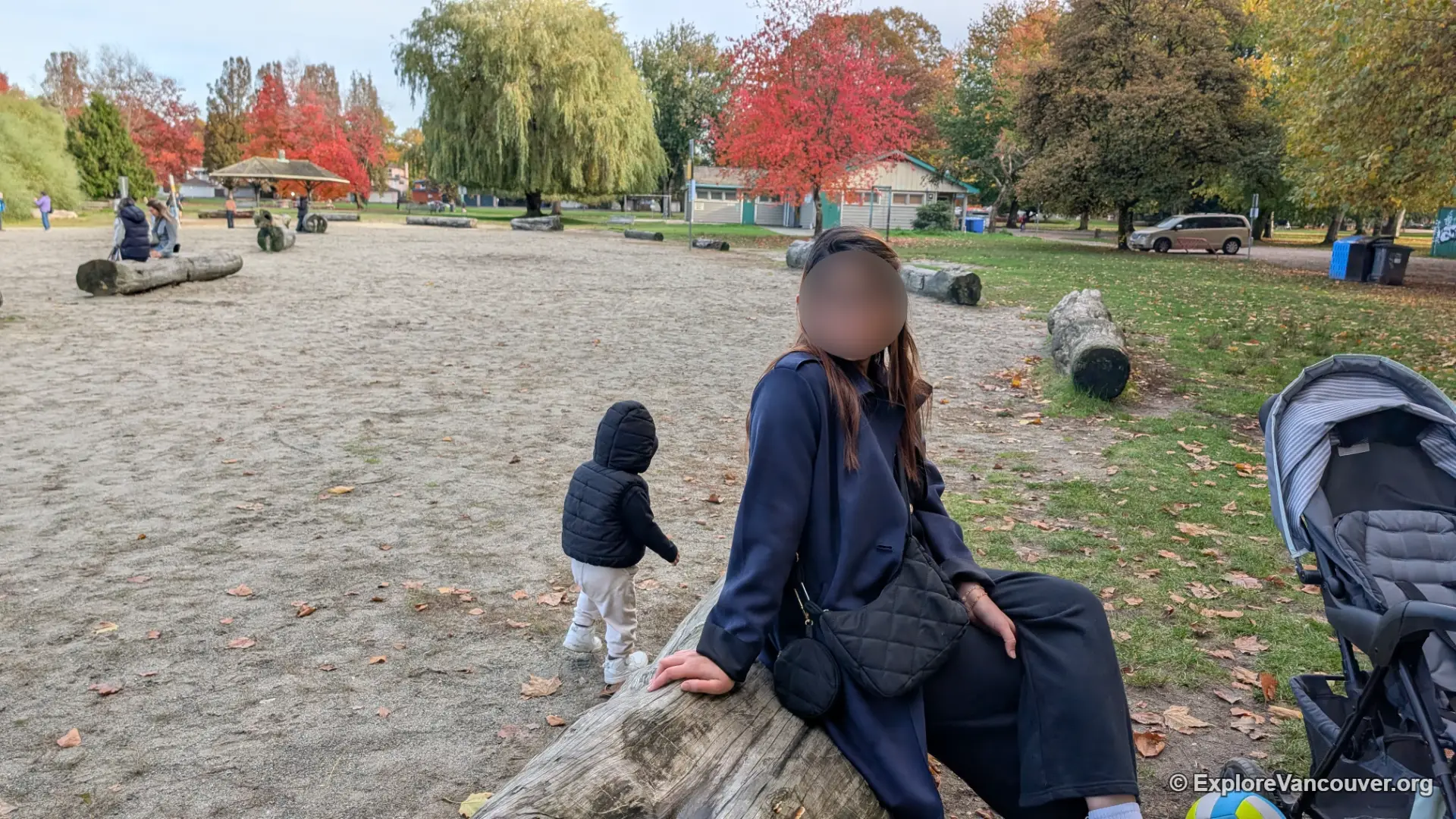 Trout Lake beach in John Hendry Park, Vancouver