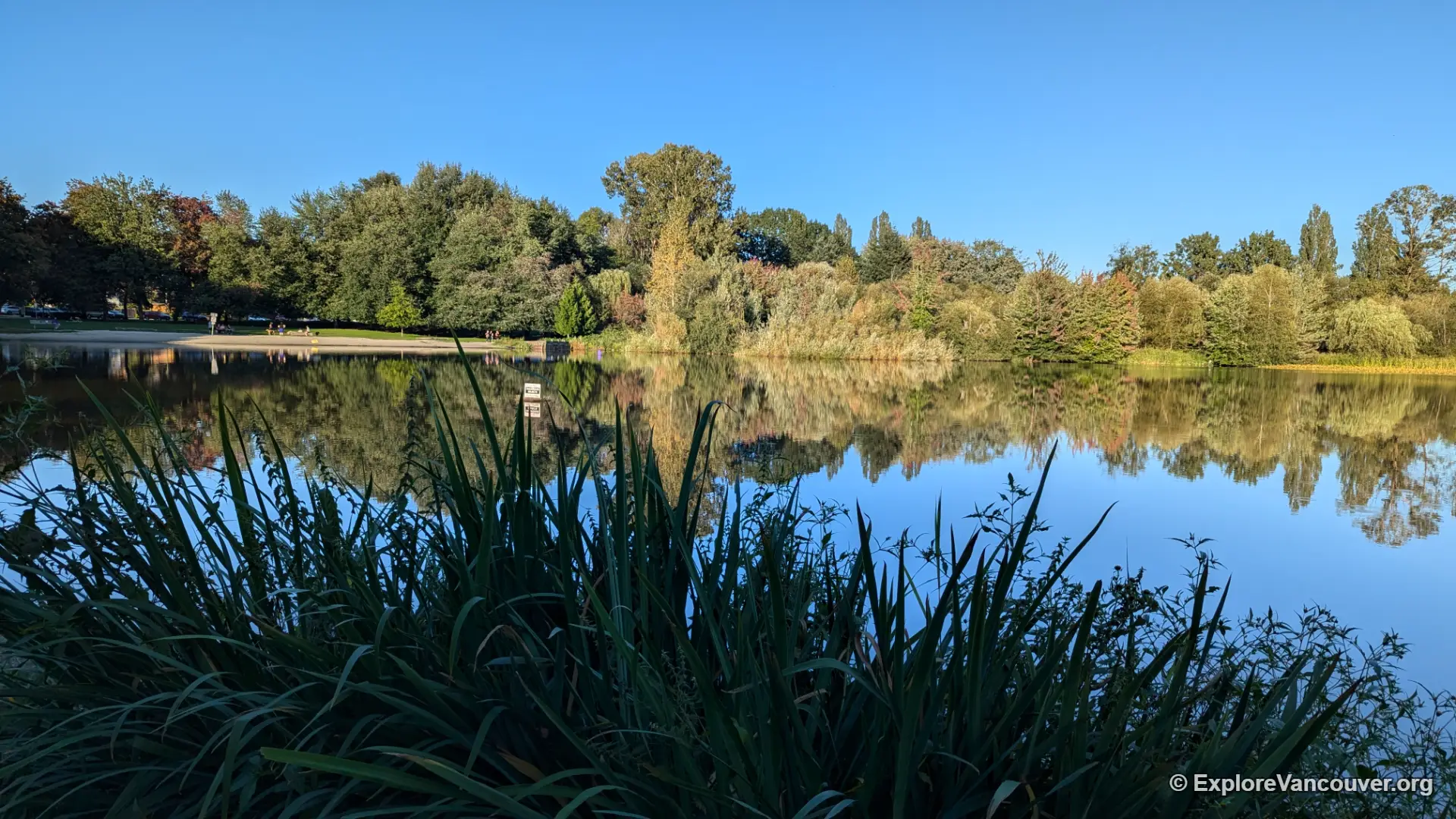 Walking path and trees beside Trout Lake in Vancouver