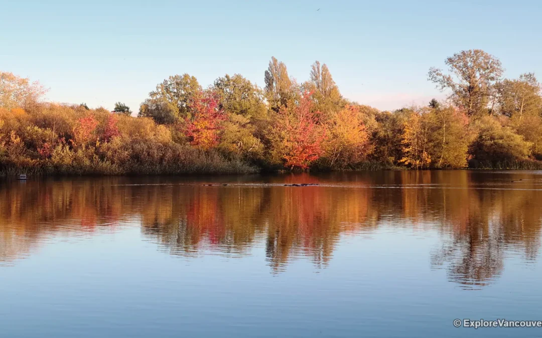 Best Lakes Near Vancouver