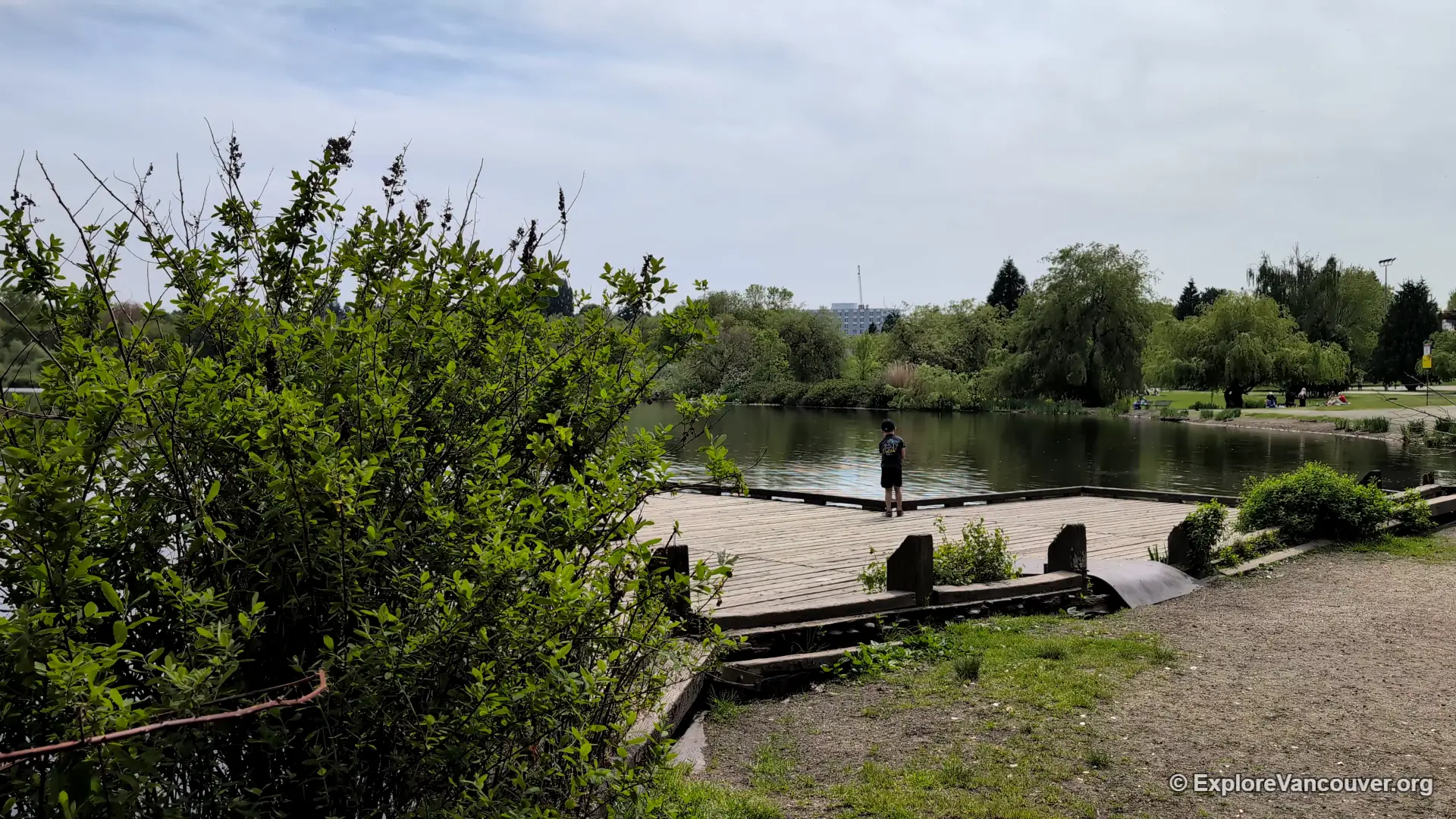 Trout Lake shoreline in East Vancouver, BC