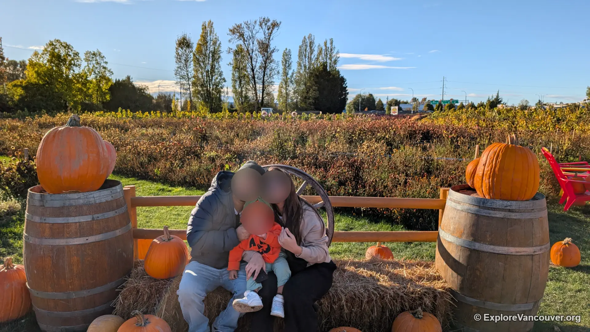 Fall-themed bench photo spot at the pumpkin patch