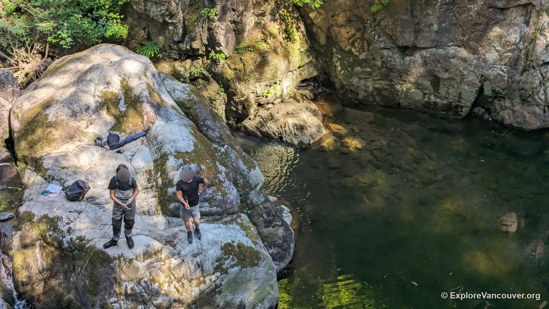 Angler fishing along the Capilano River in the regional park