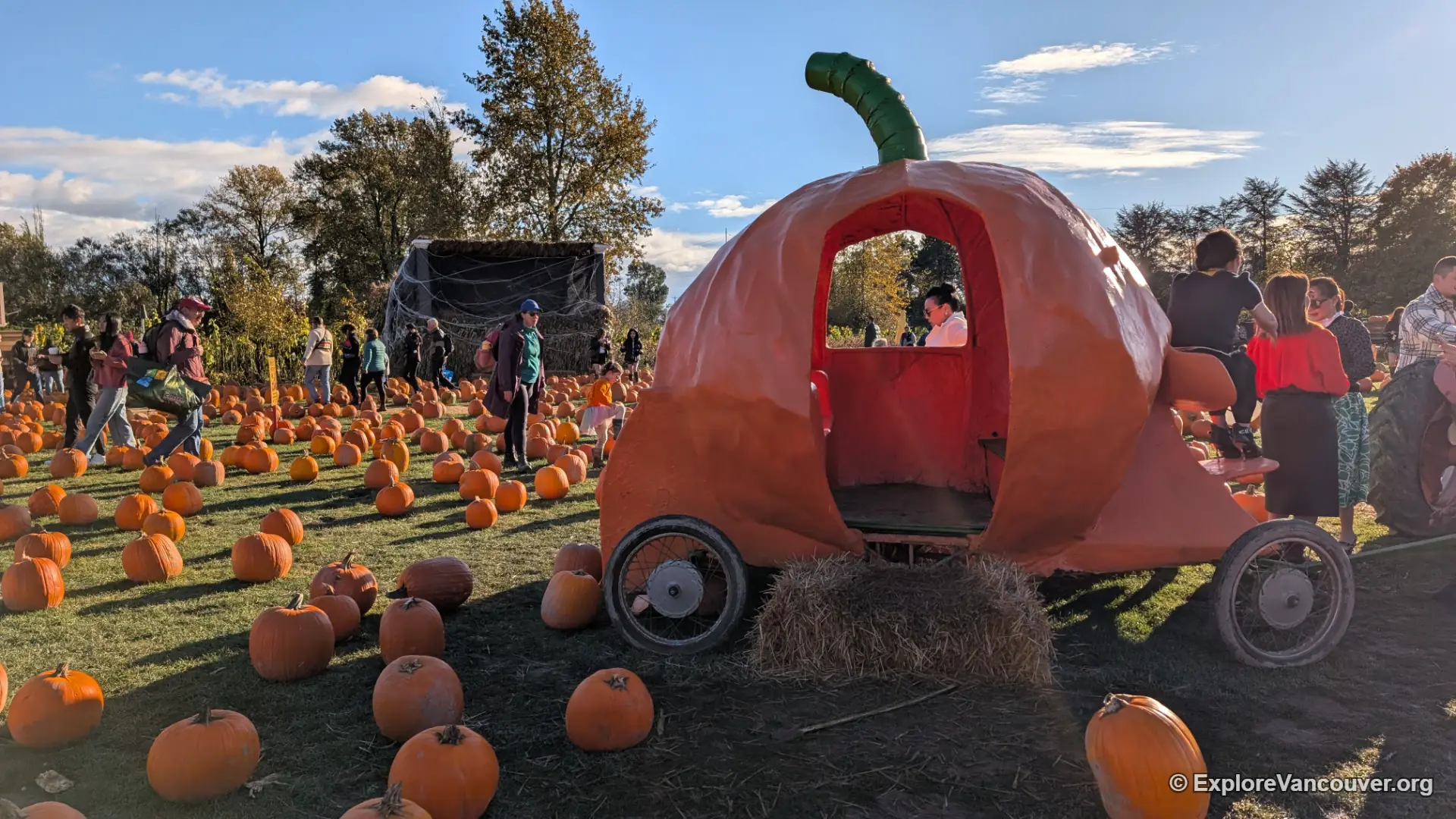 Fall pumpkin patch photo spot at Richmond Country Farms