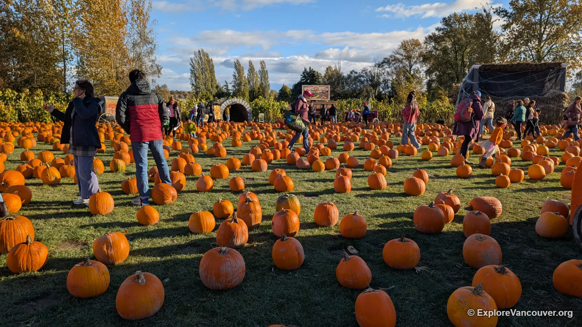 Family activities at the Richmond Country Farms pumpkin patch
