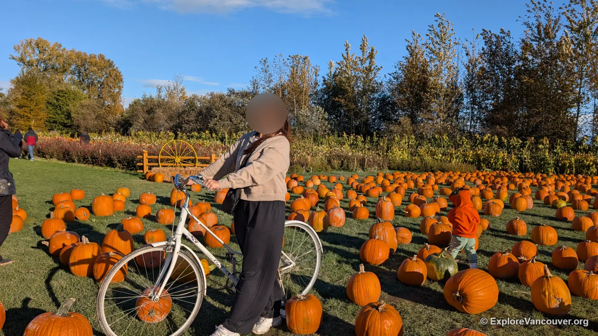 Vintage bicycle photo spot in the pumpkin patch
