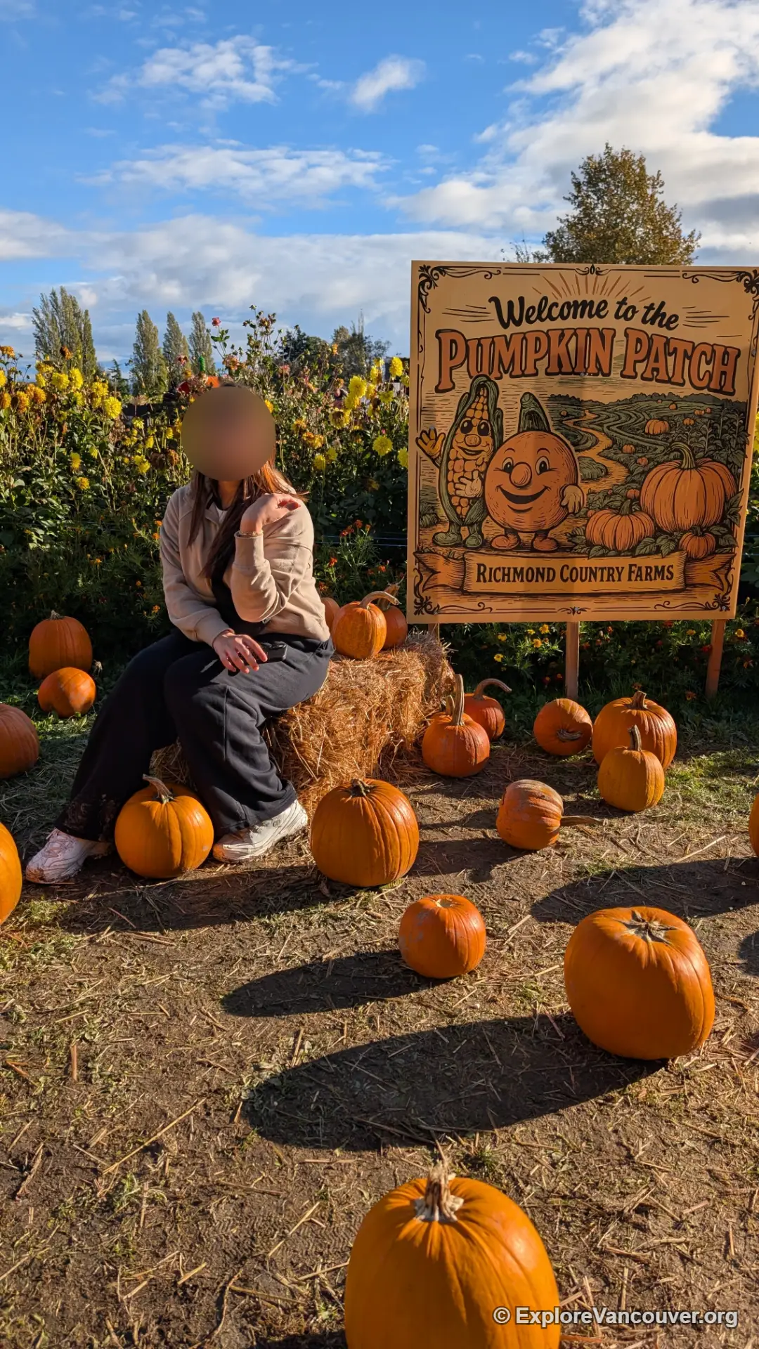 Photo spot area at the pumpkin patch