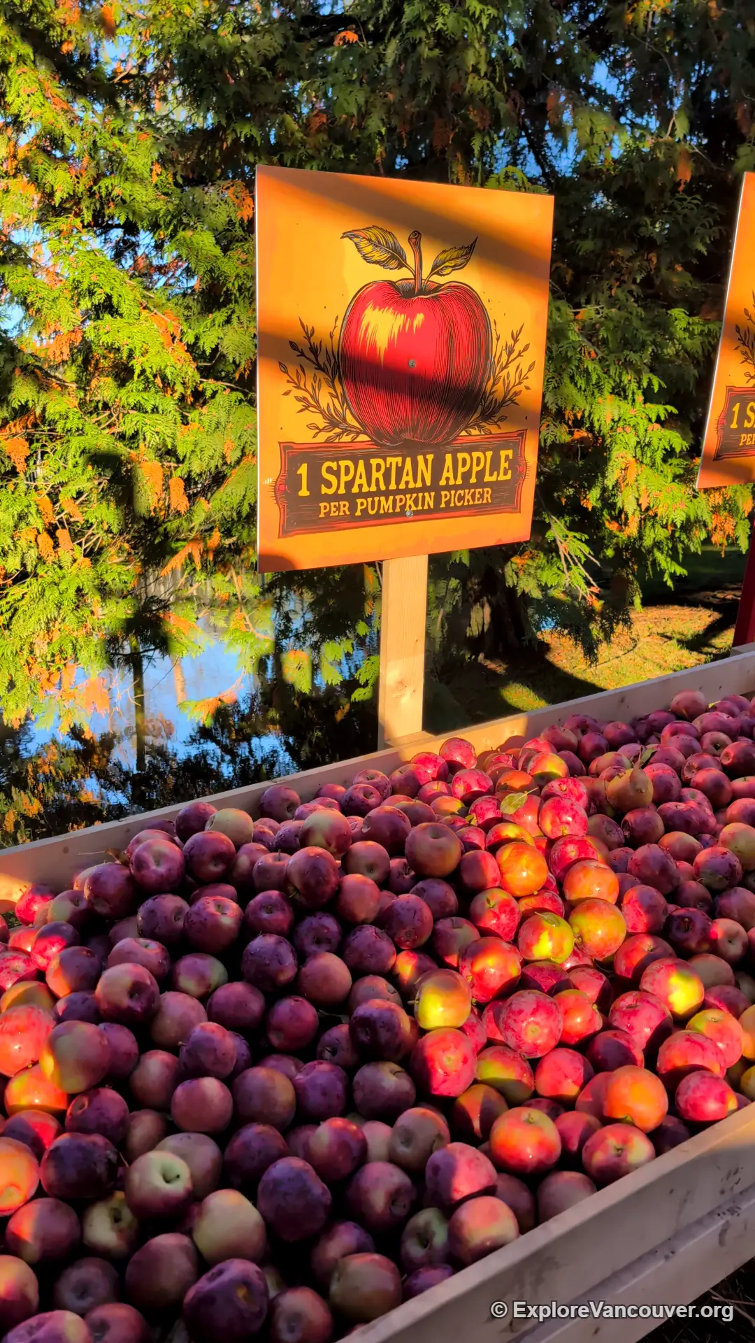 Spartan apple included with pumpkin patch admission