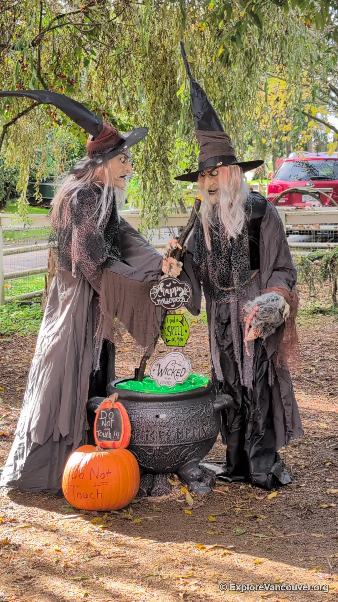 Witch display at the pumpkin patch