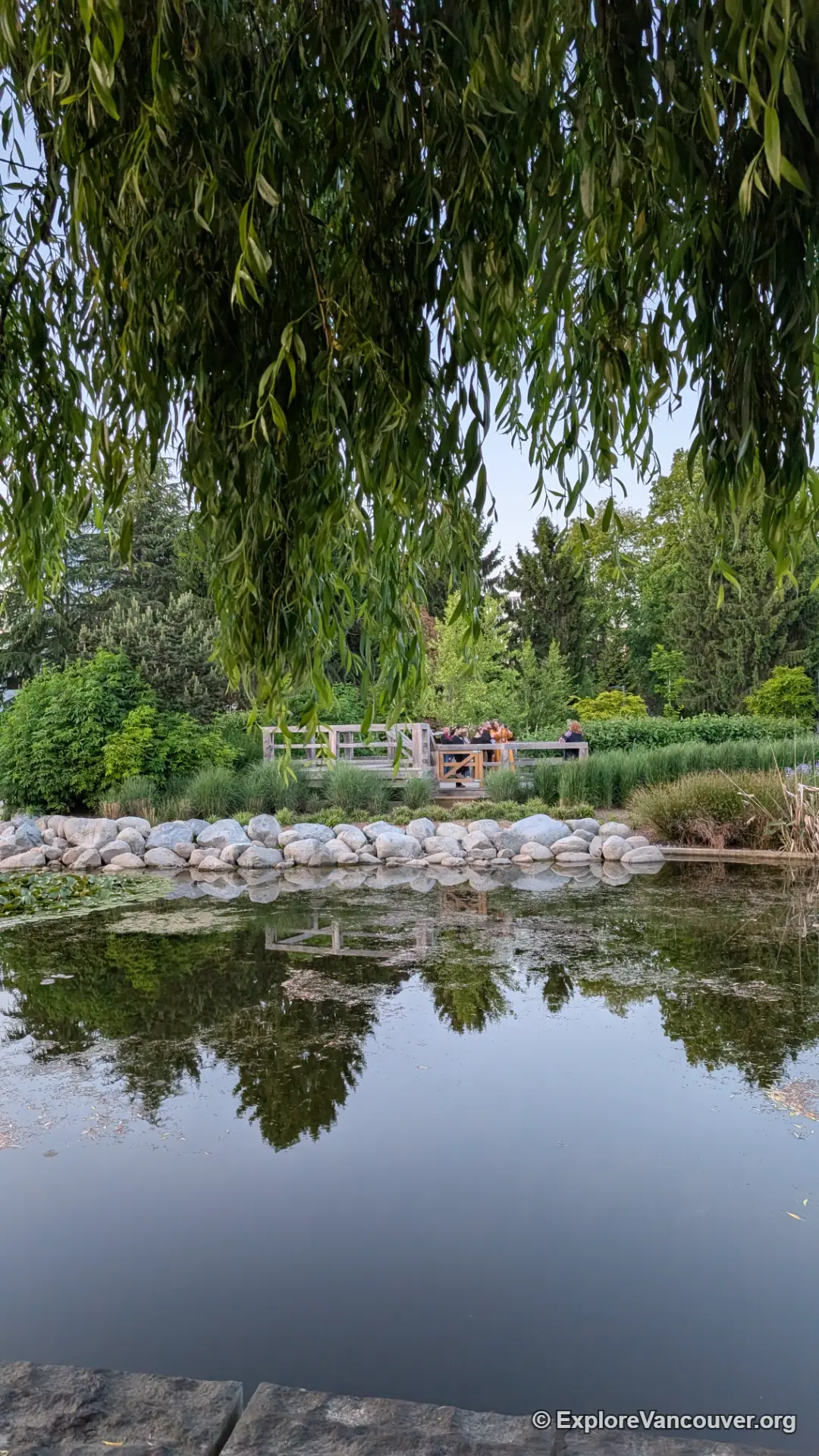 Vertical view of Minoru Lakes in Richmond BC