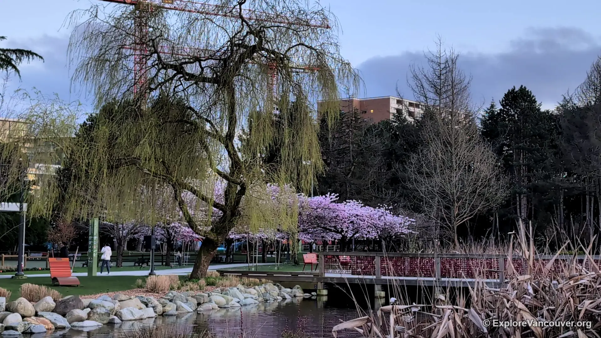 Minoru Lakes in Minoru Park Richmond BC on a calm day